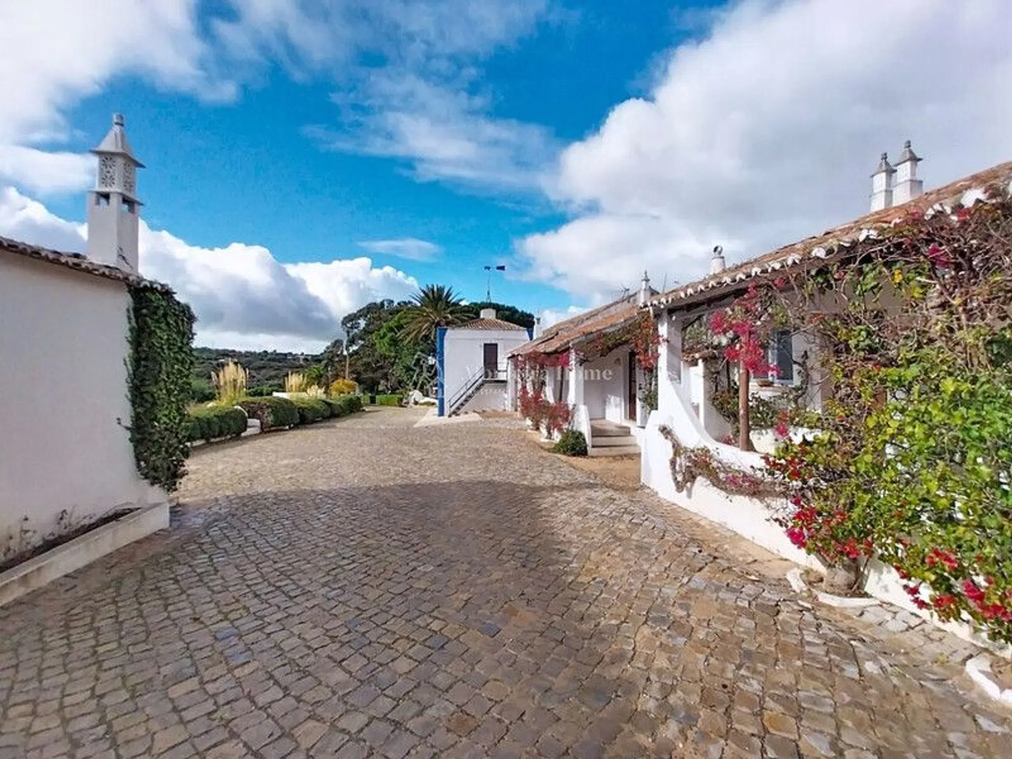 Quinta - Photo 9