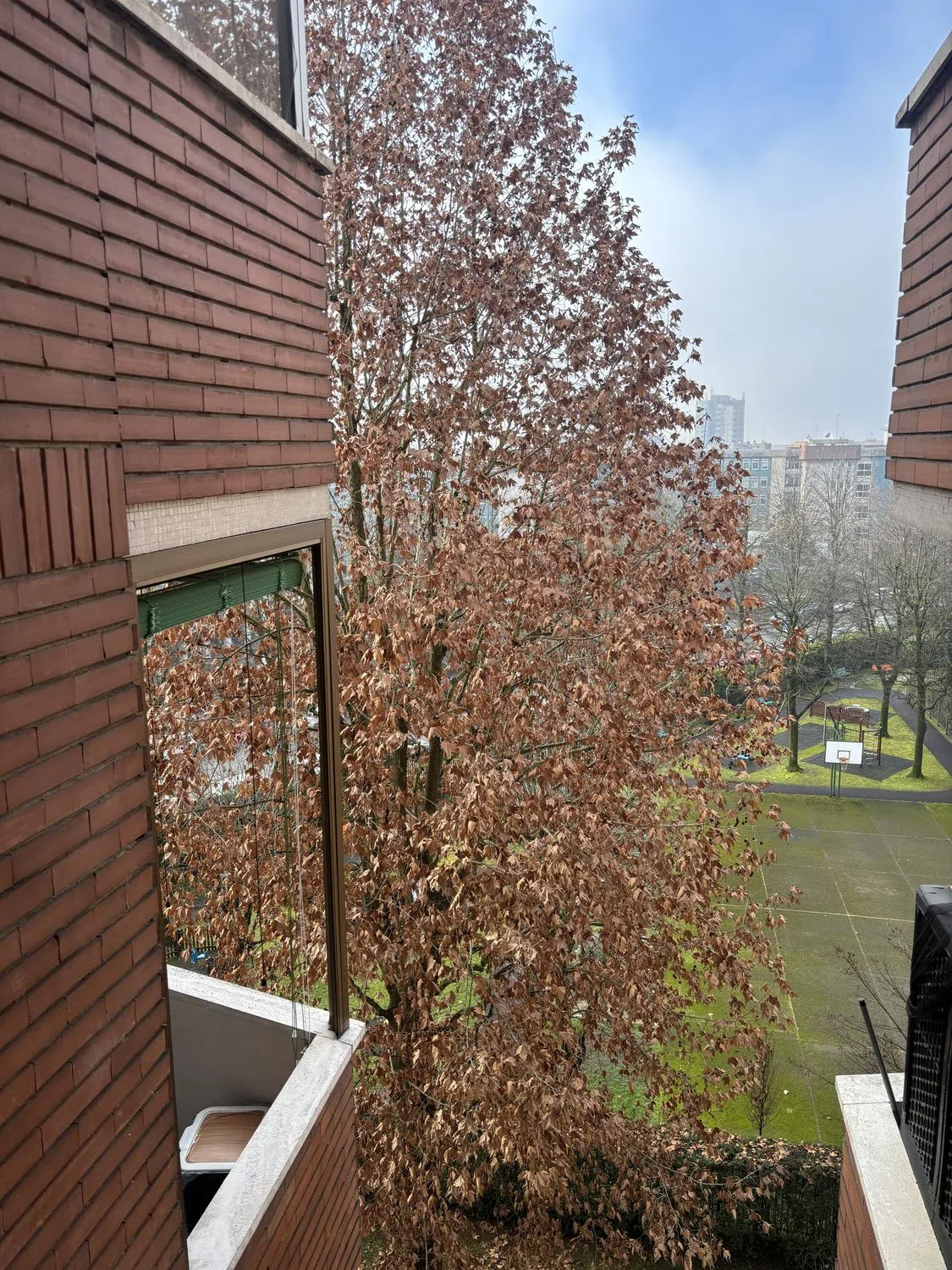 Trilocale in via Privata Ferdinando Lassalle s.n.c. - Photo 6