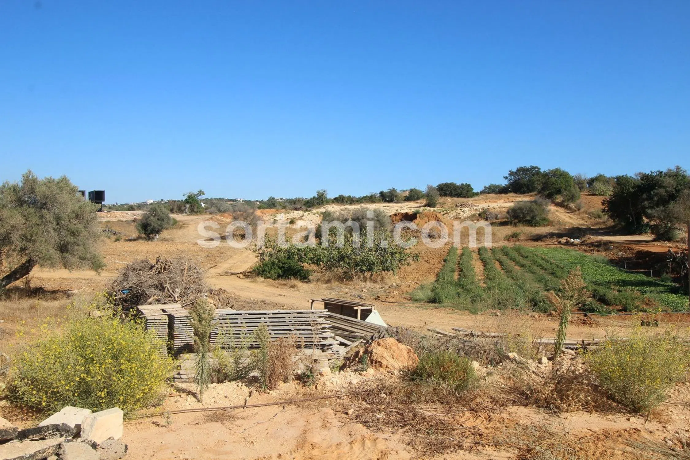 Quinta - Photo 15
