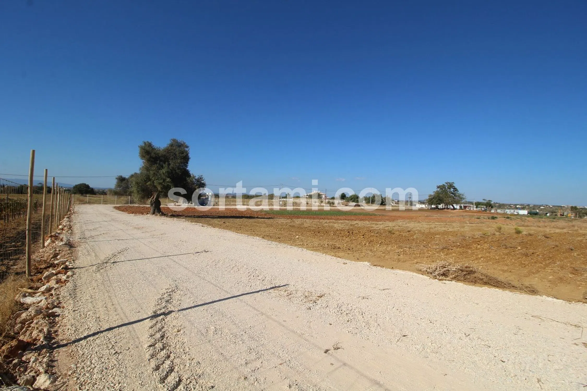 Quinta - Photo 16
