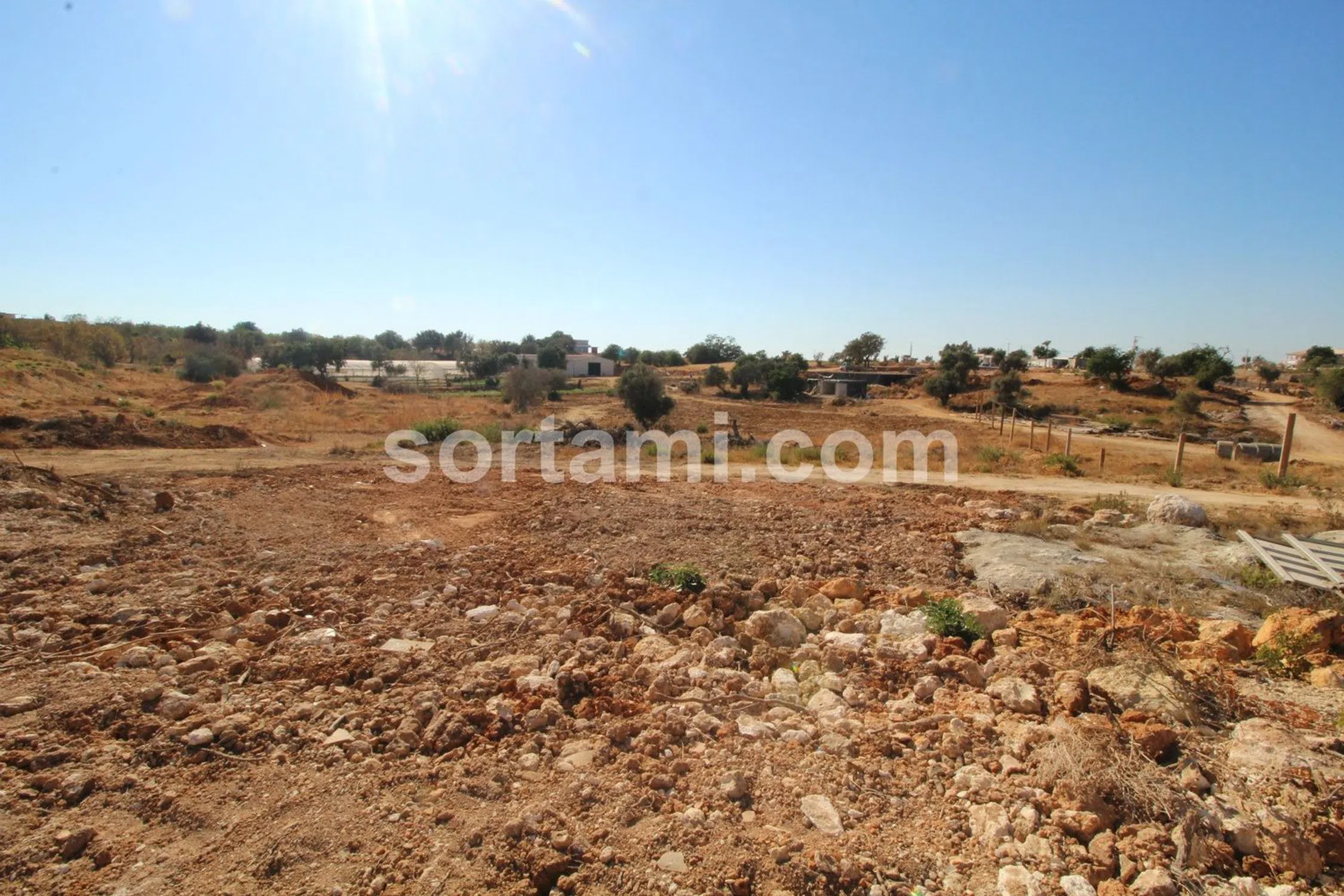 Quinta - Photo 10
