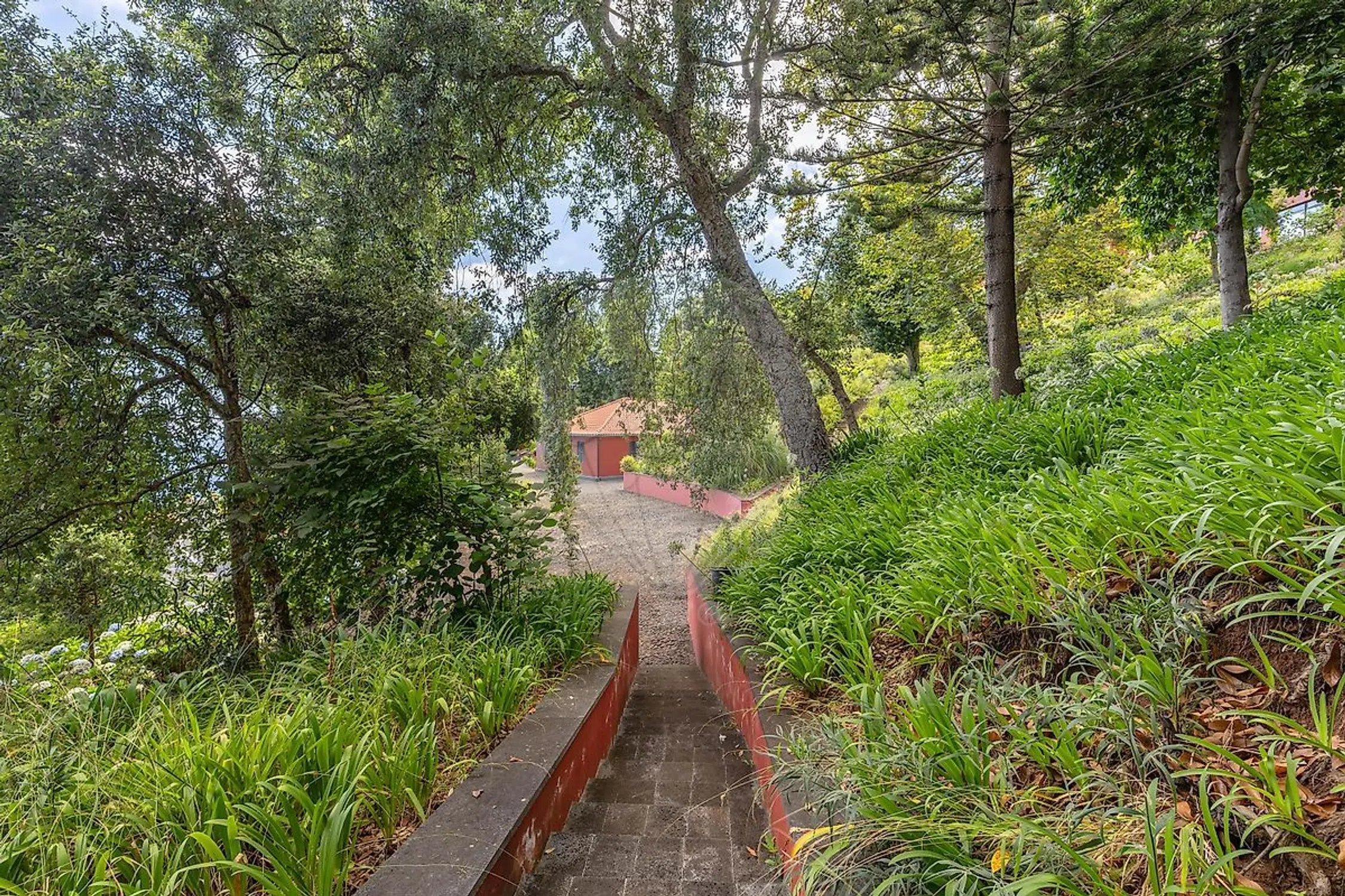 Quinta no caminho da Alegria - Photo 13
