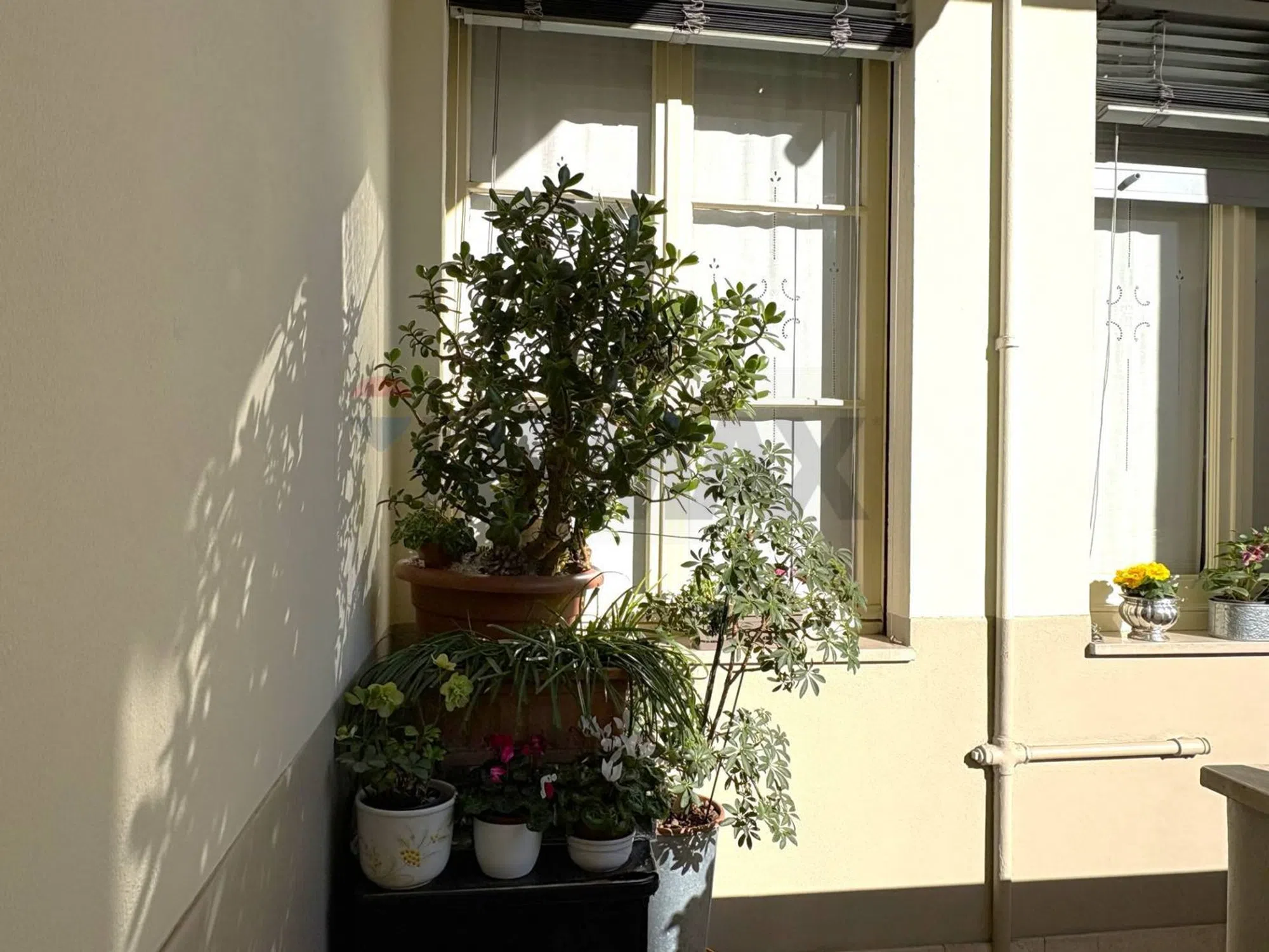 Trilocale in viale Certosa, 109 - Photo 2