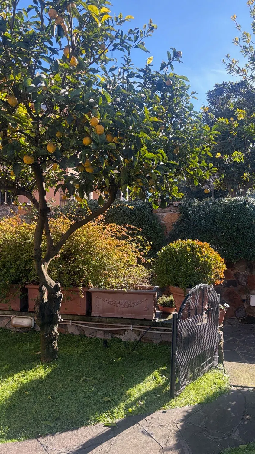 Villetta a schiera in via Erode Attico - Photo 10