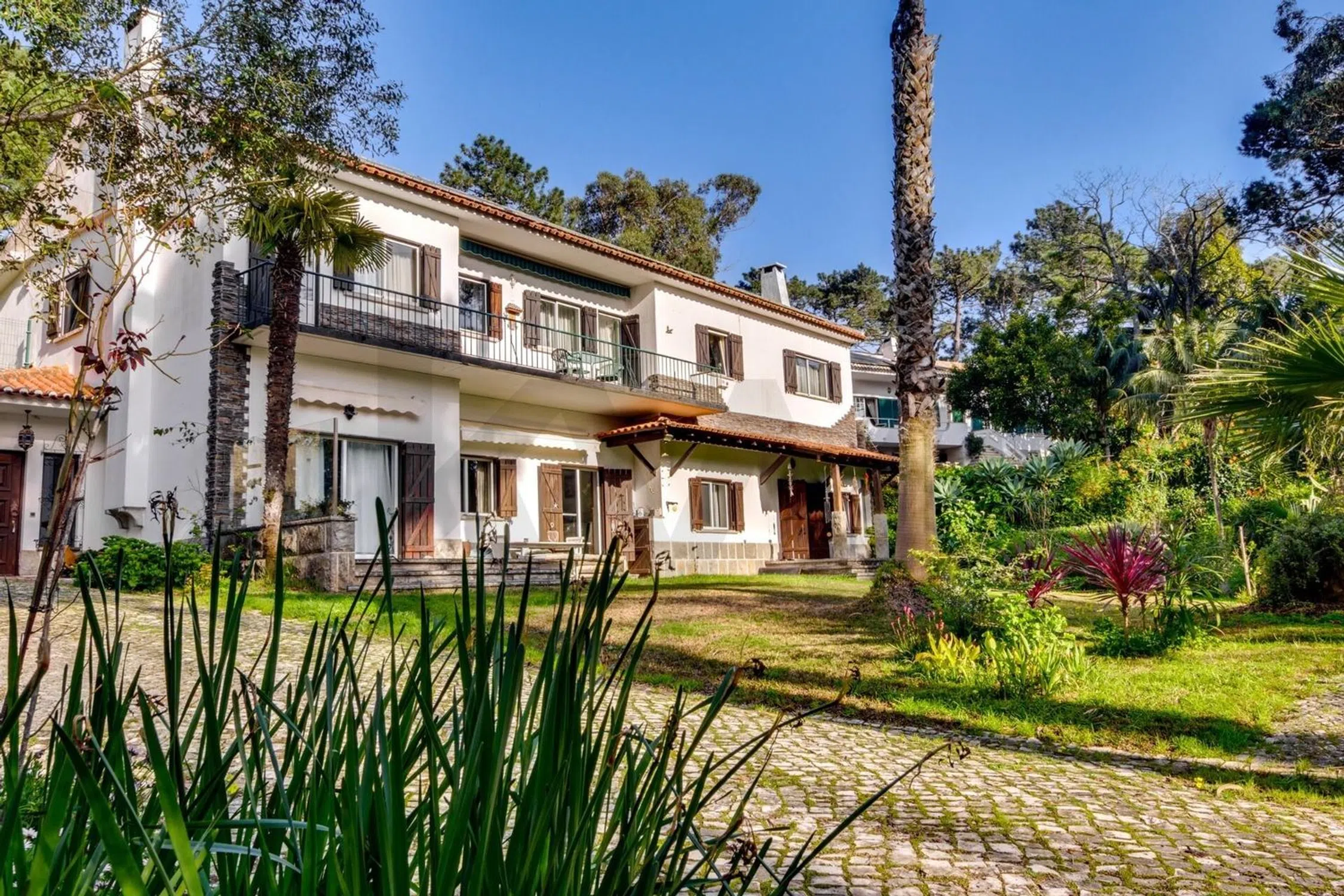 Quinta - Photo 1