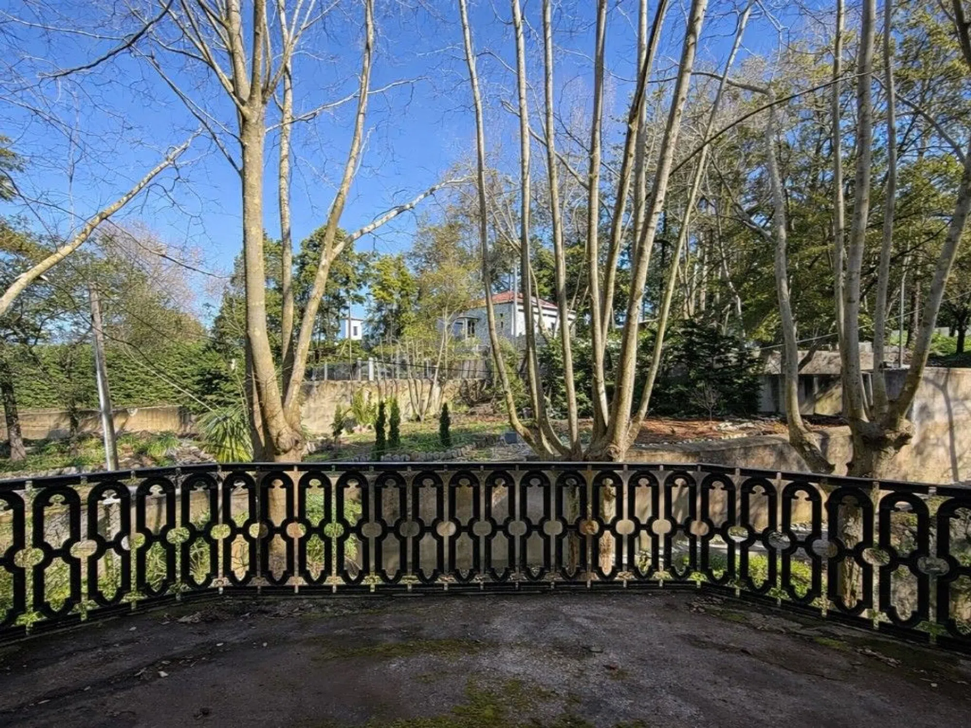 Quinta - Photo 12