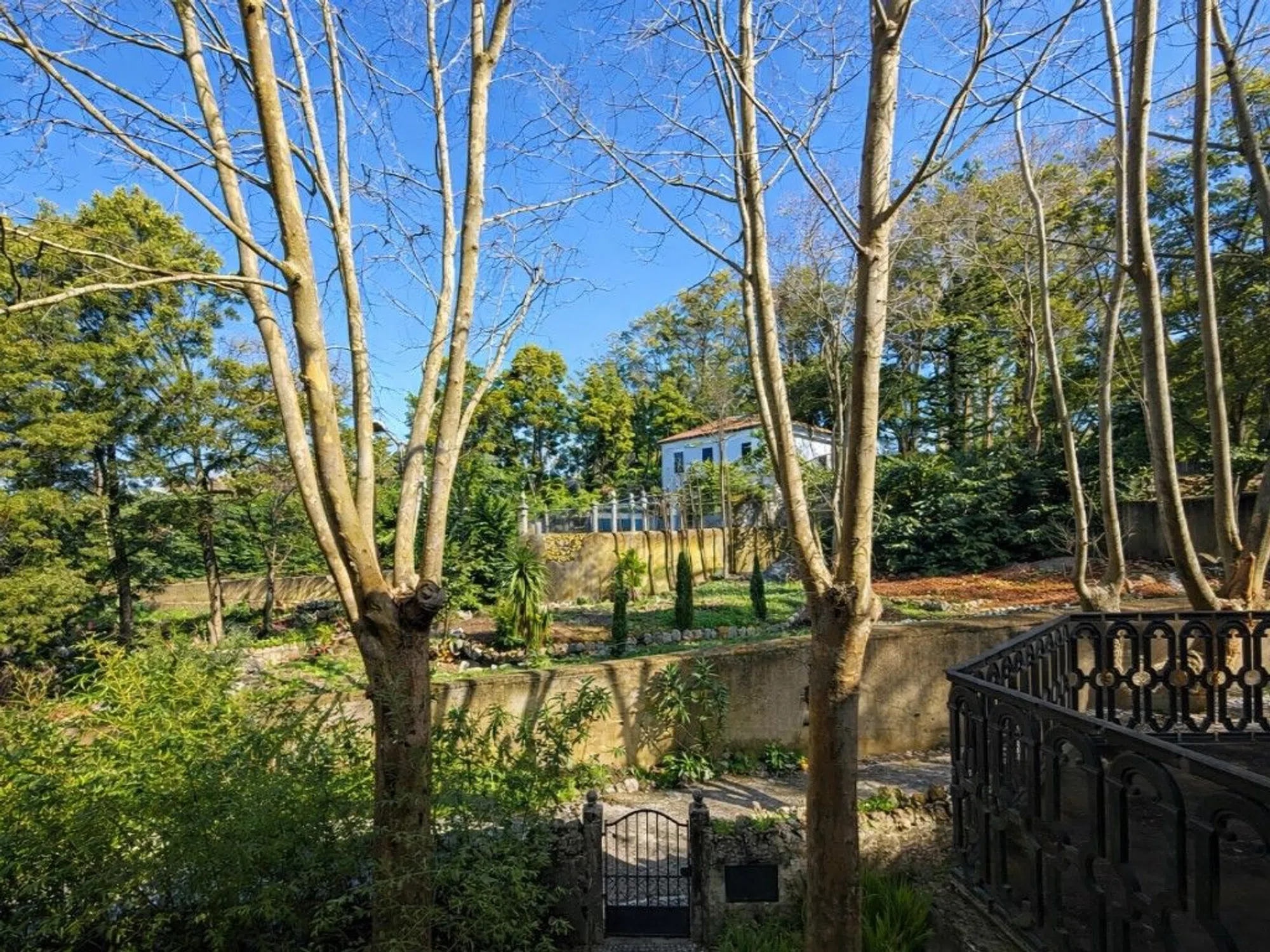 Quinta - Photo 14