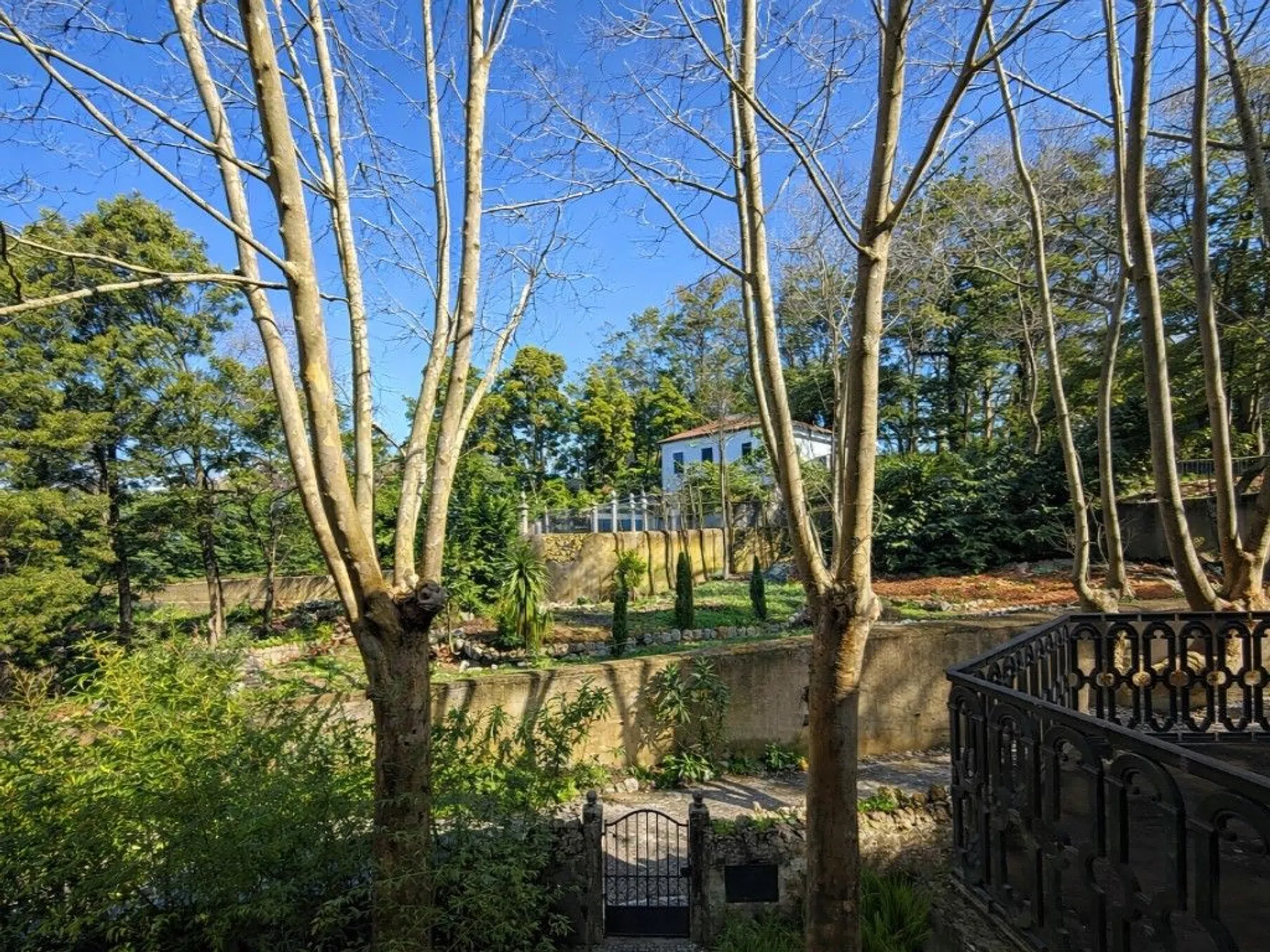 Quinta - Photo 18