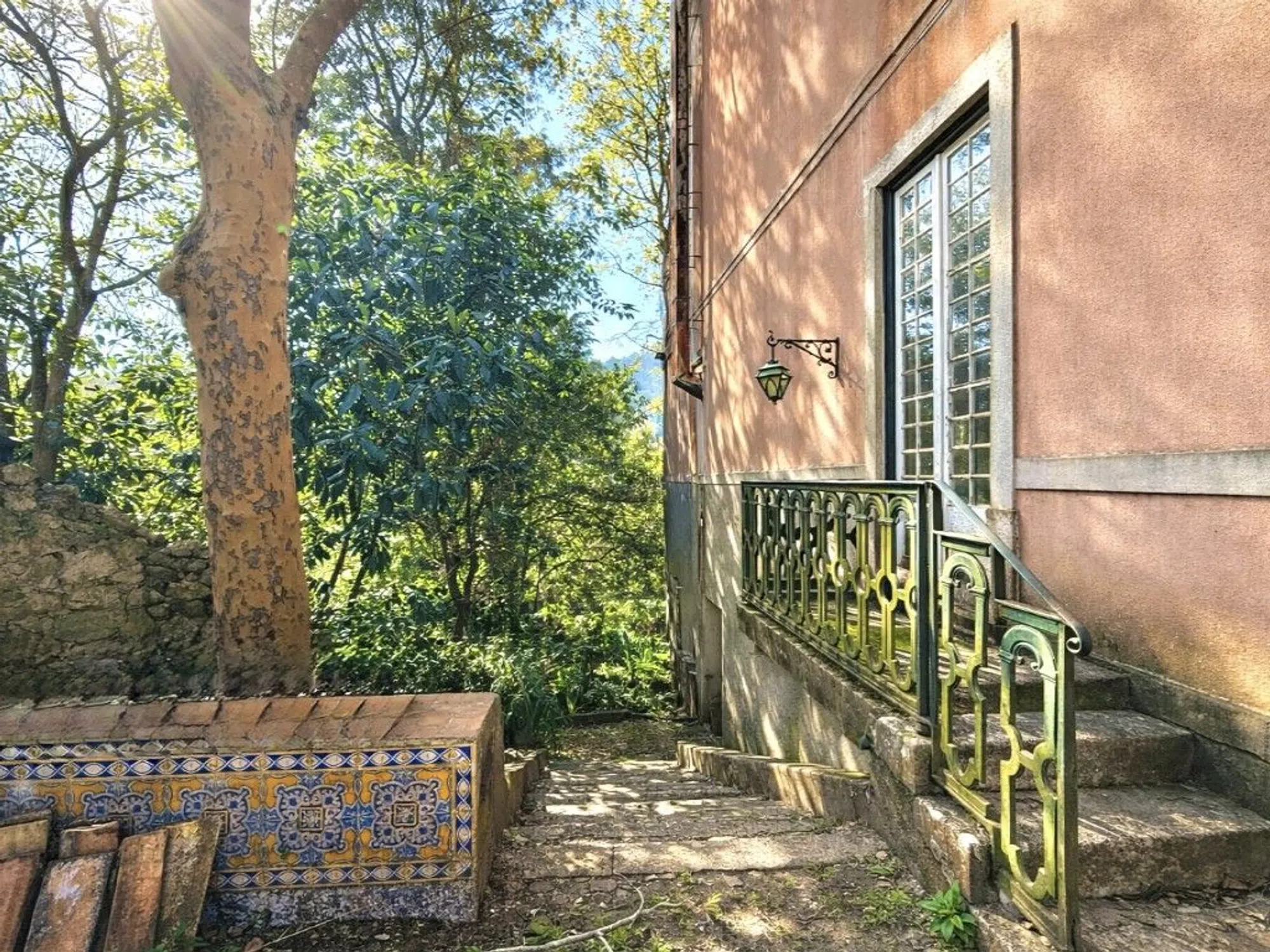 Quinta - Photo 3