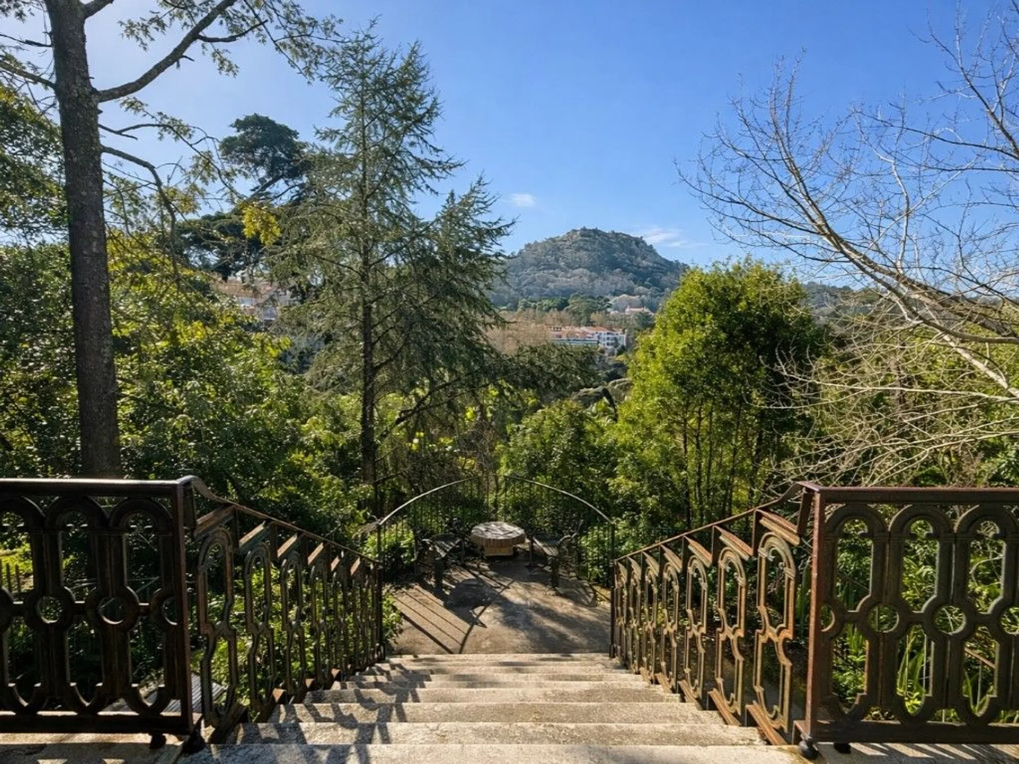 Quinta - Photo 5