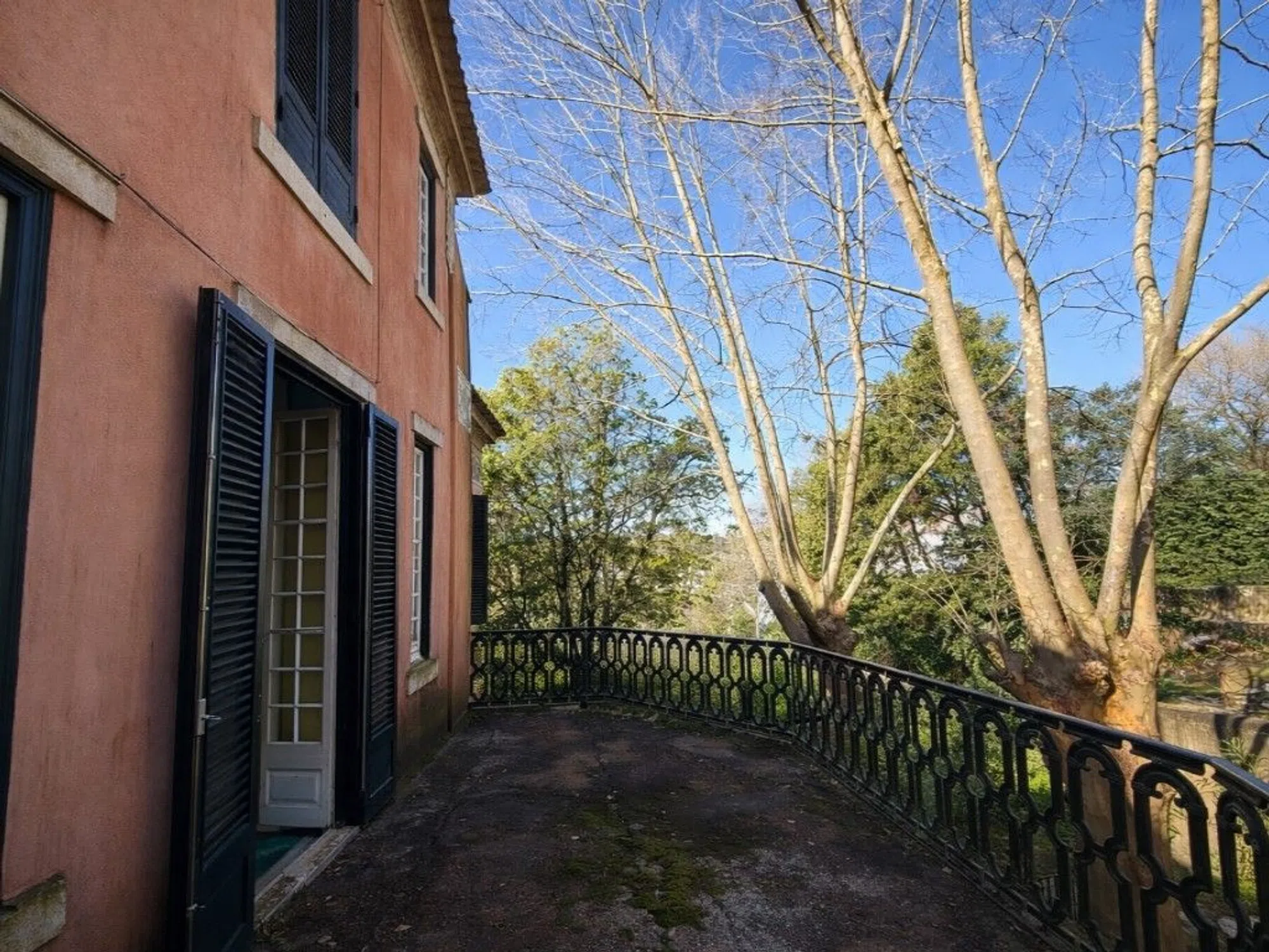 Quinta - Photo 10