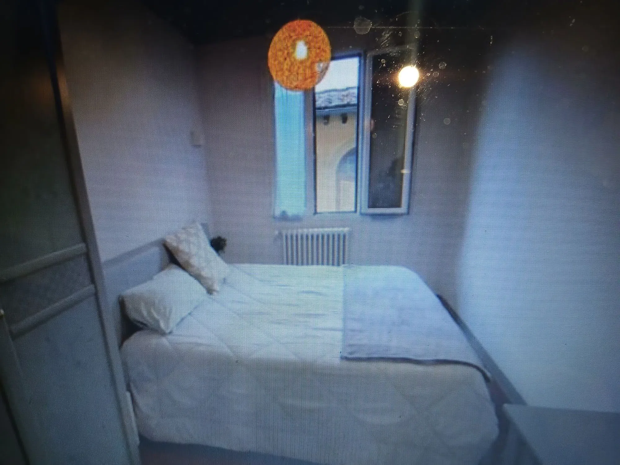 Trilocale in via Pietrapiana - Photo 6