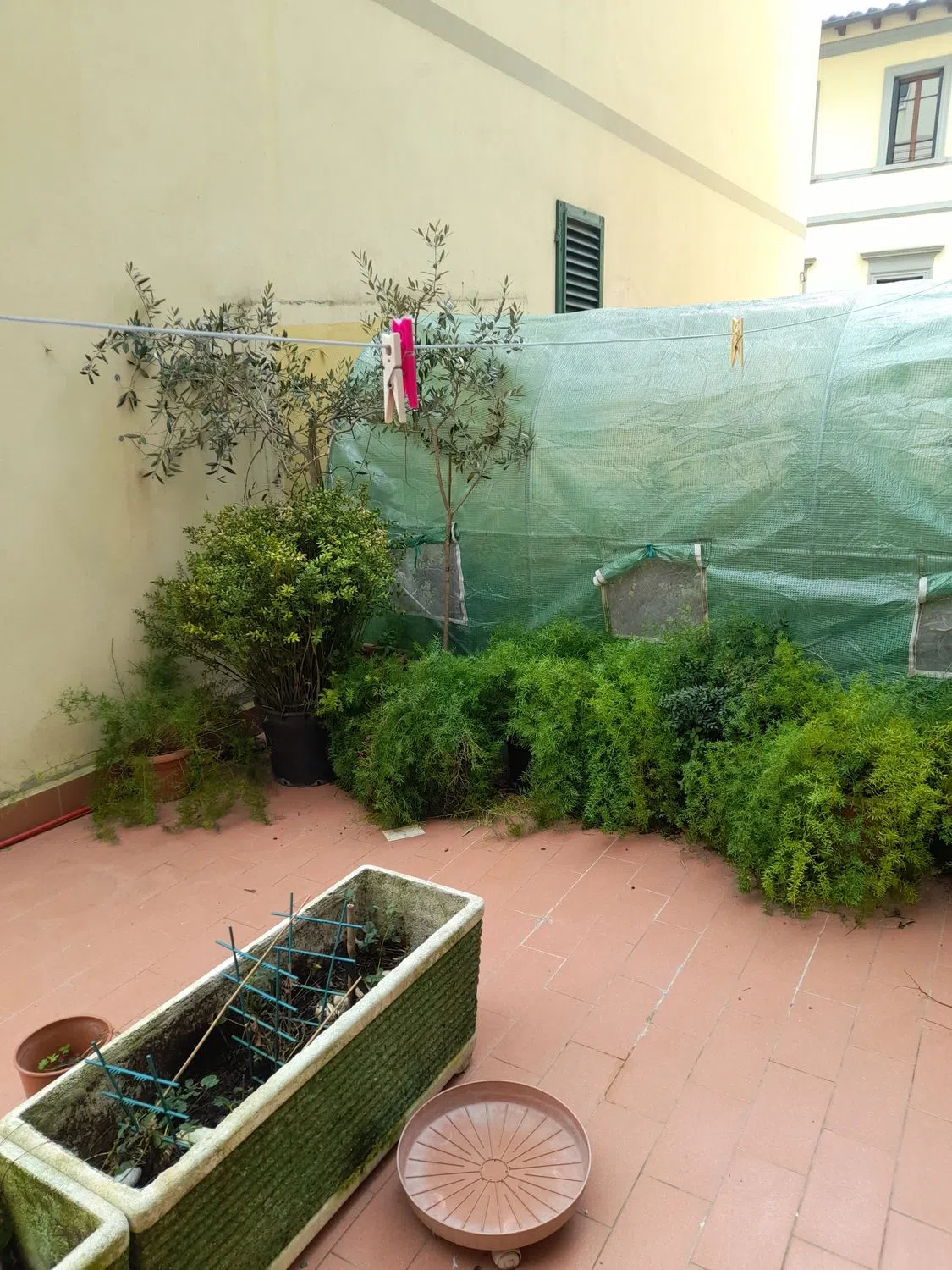 Appartamento in via Giovanni Boccaccio - Photo 11