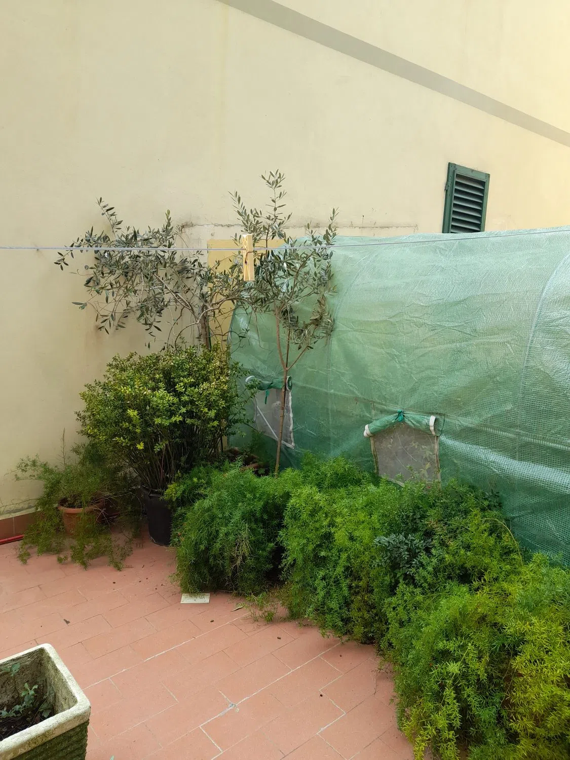 Appartamento in via Giovanni Boccaccio - Photo 13