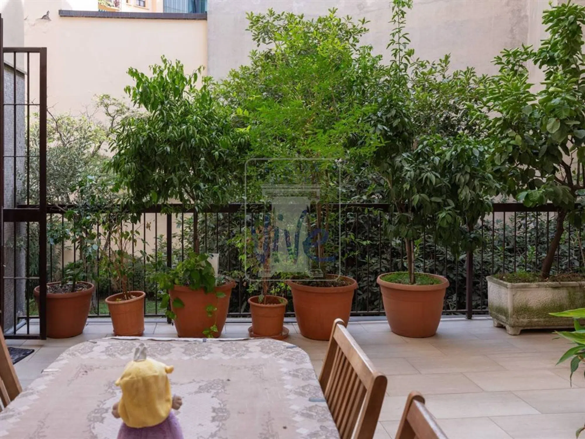 Appartamento in viale Gran Sasso - Photo 6