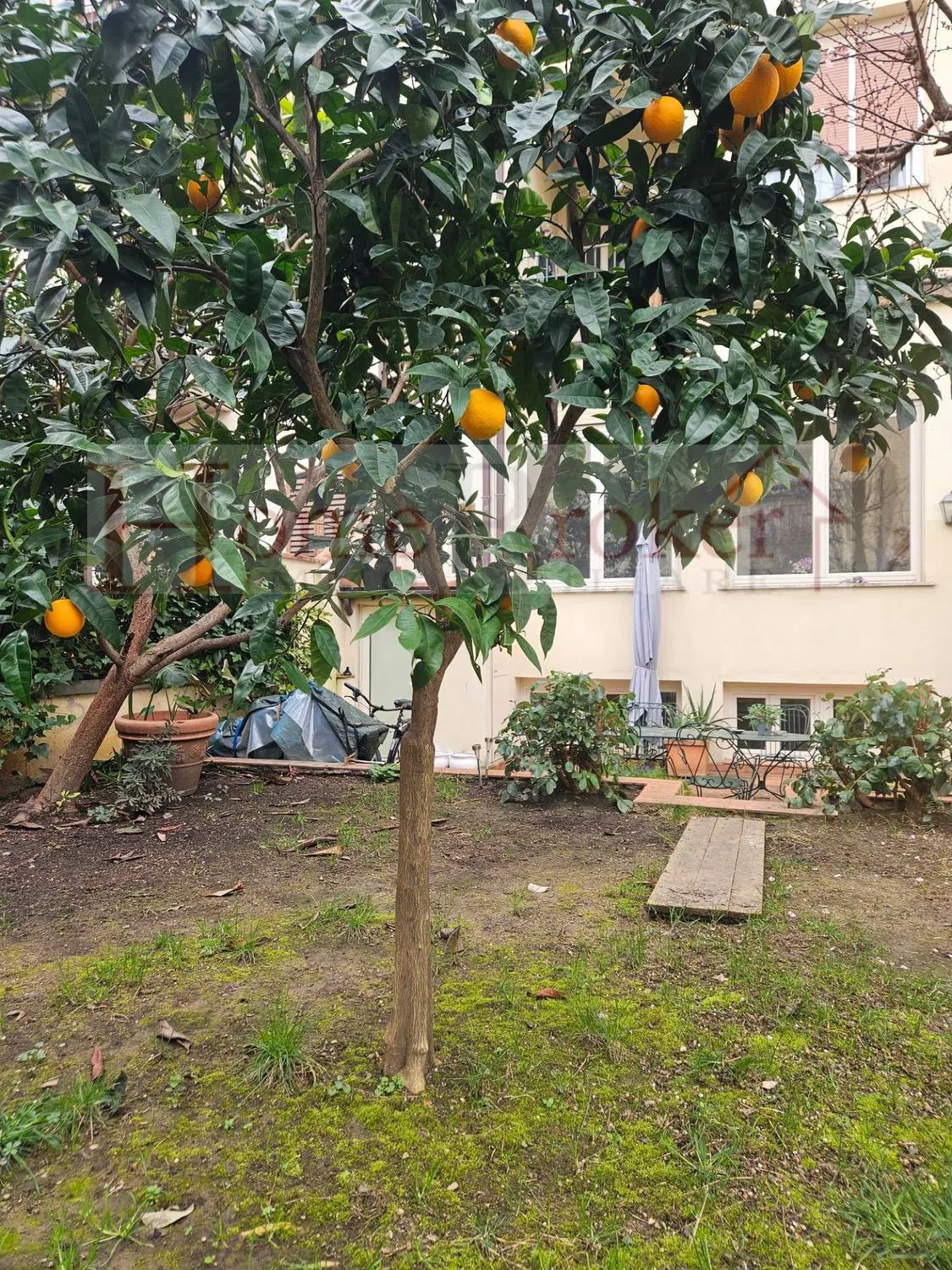 Appartamento in via Giovanni Duprè, 14 - Photo 7