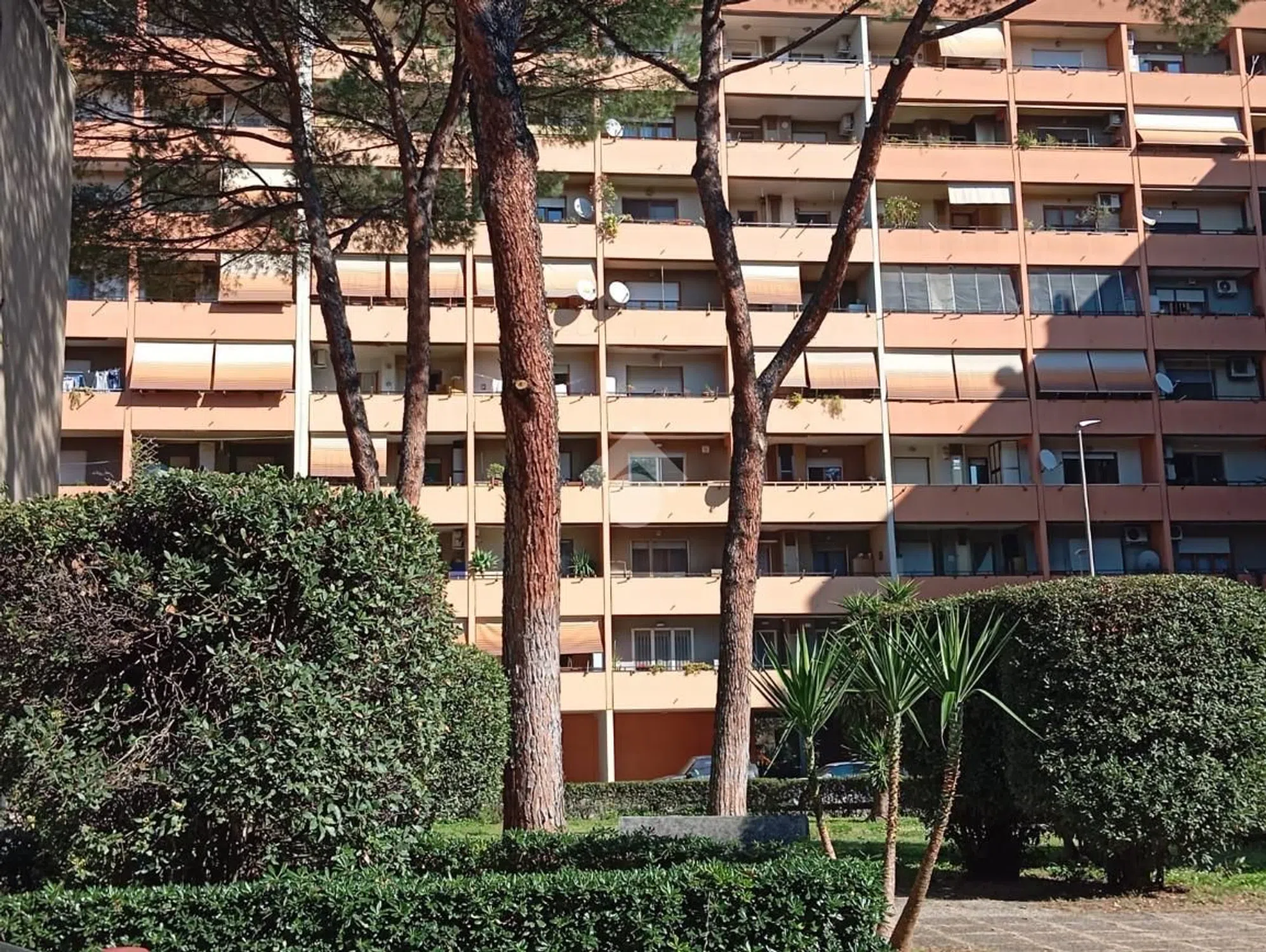 Trilocale in via Raffaele Ciasca s.n.c. - Photo 2