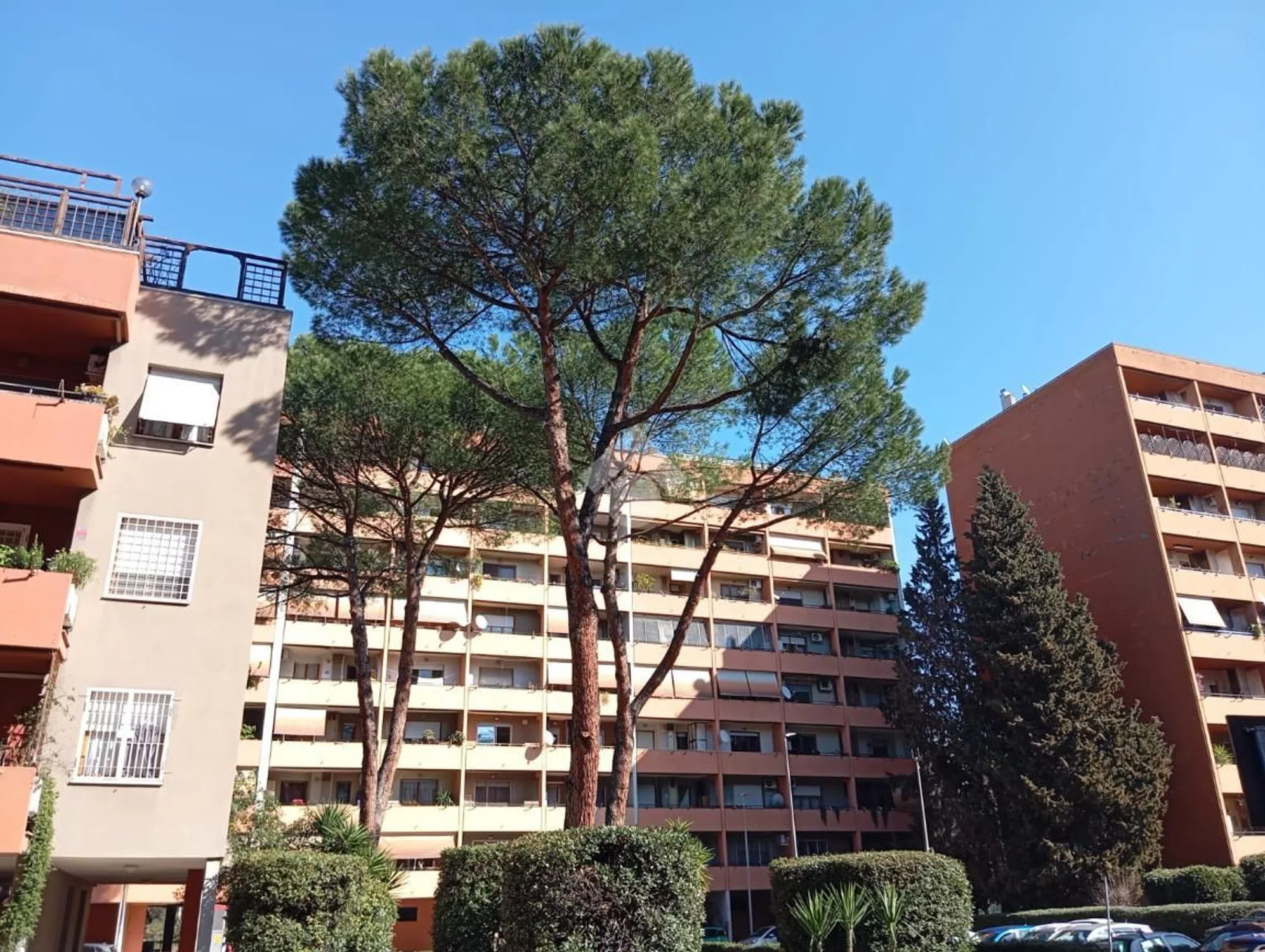 Trilocale in via Raffaele Ciasca s.n.c. - Photo 6