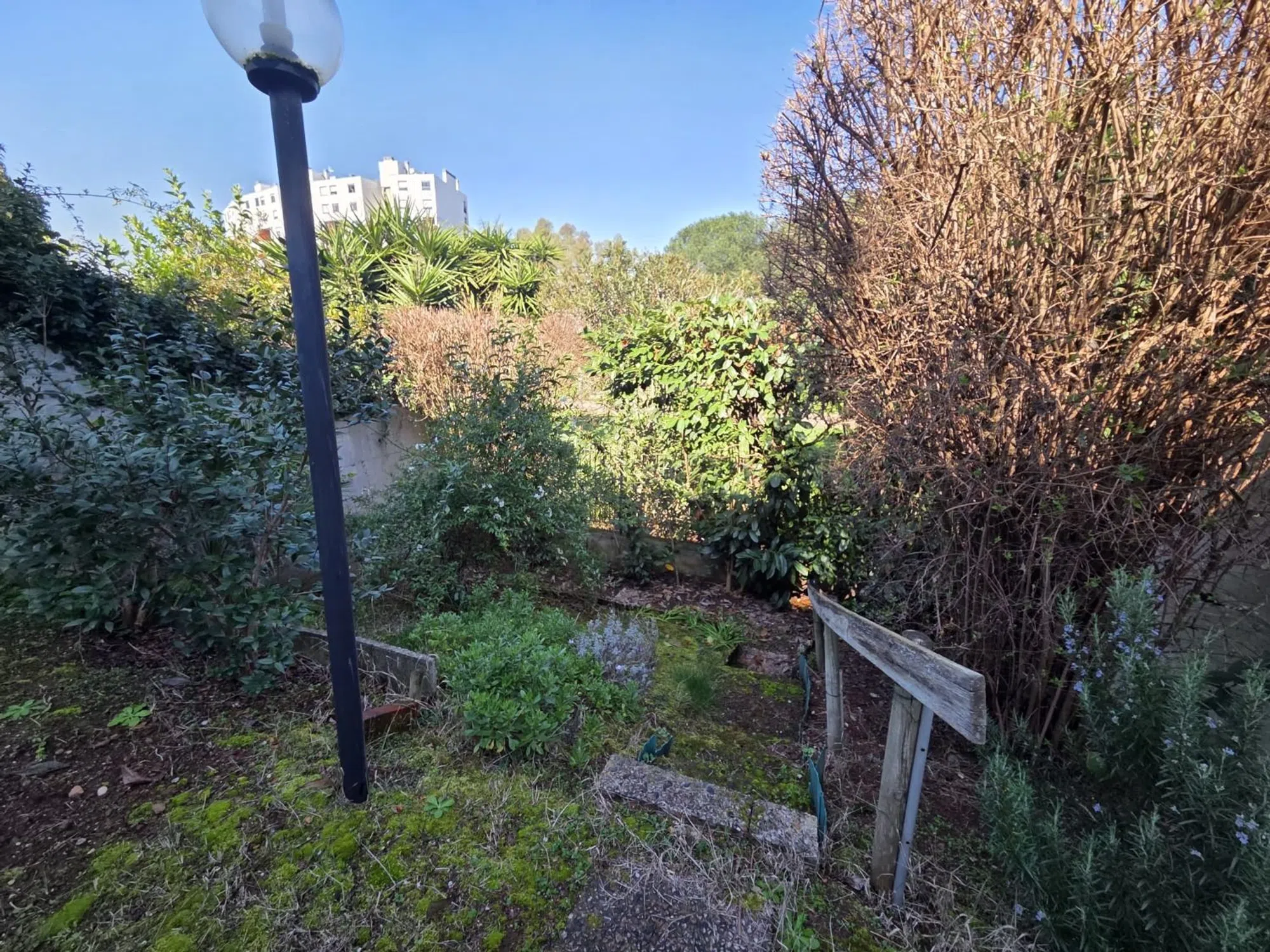 Quadrilocale in viale Aldo Ballarin, 162 - Photo 14