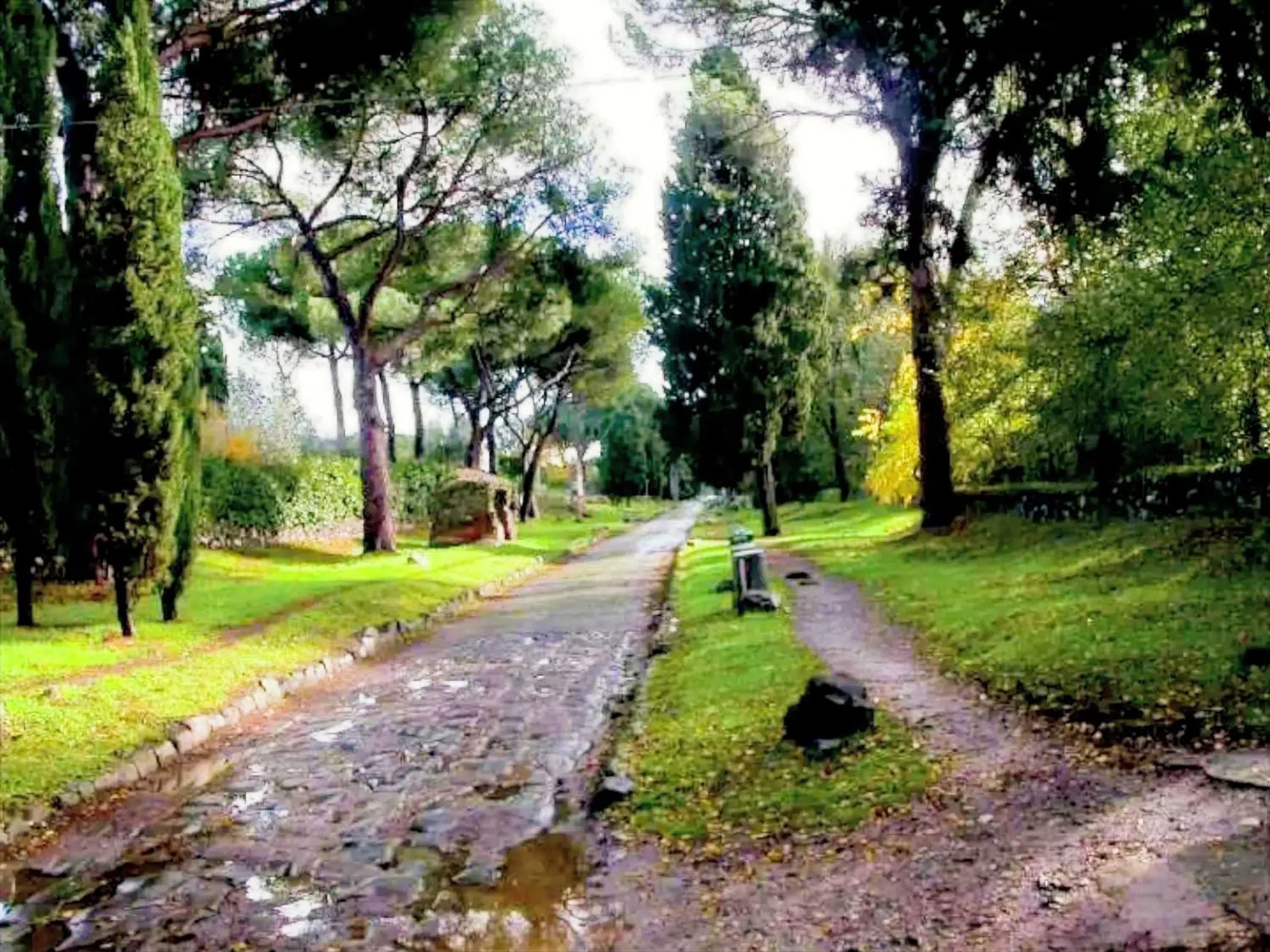 Villa in via Appia Antica, 280 - Photo 6