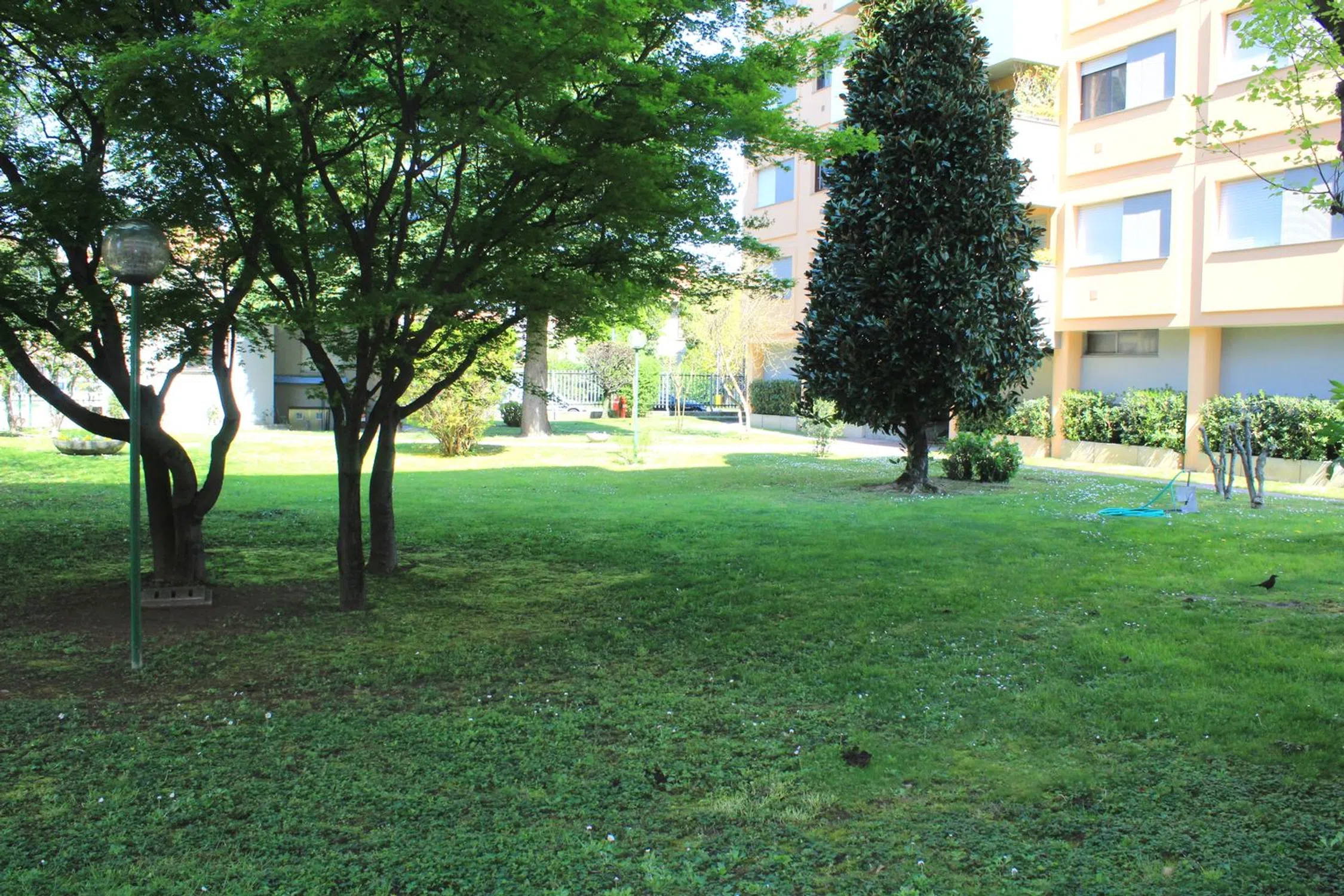 Trilocale in via Bonaventura Broggini s.n.c. - Photo 2