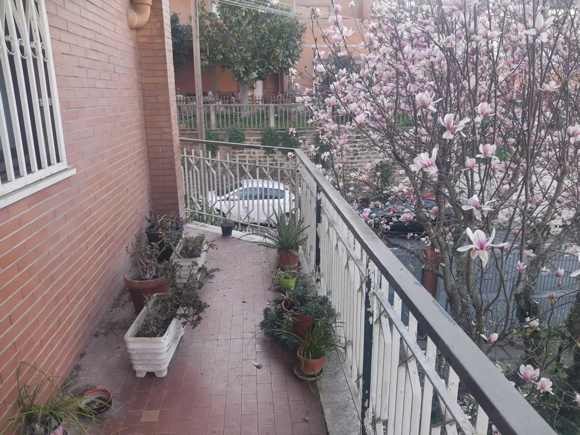 Trilocale in via Morando Filippo Rosa s.n.c. - Photo 5