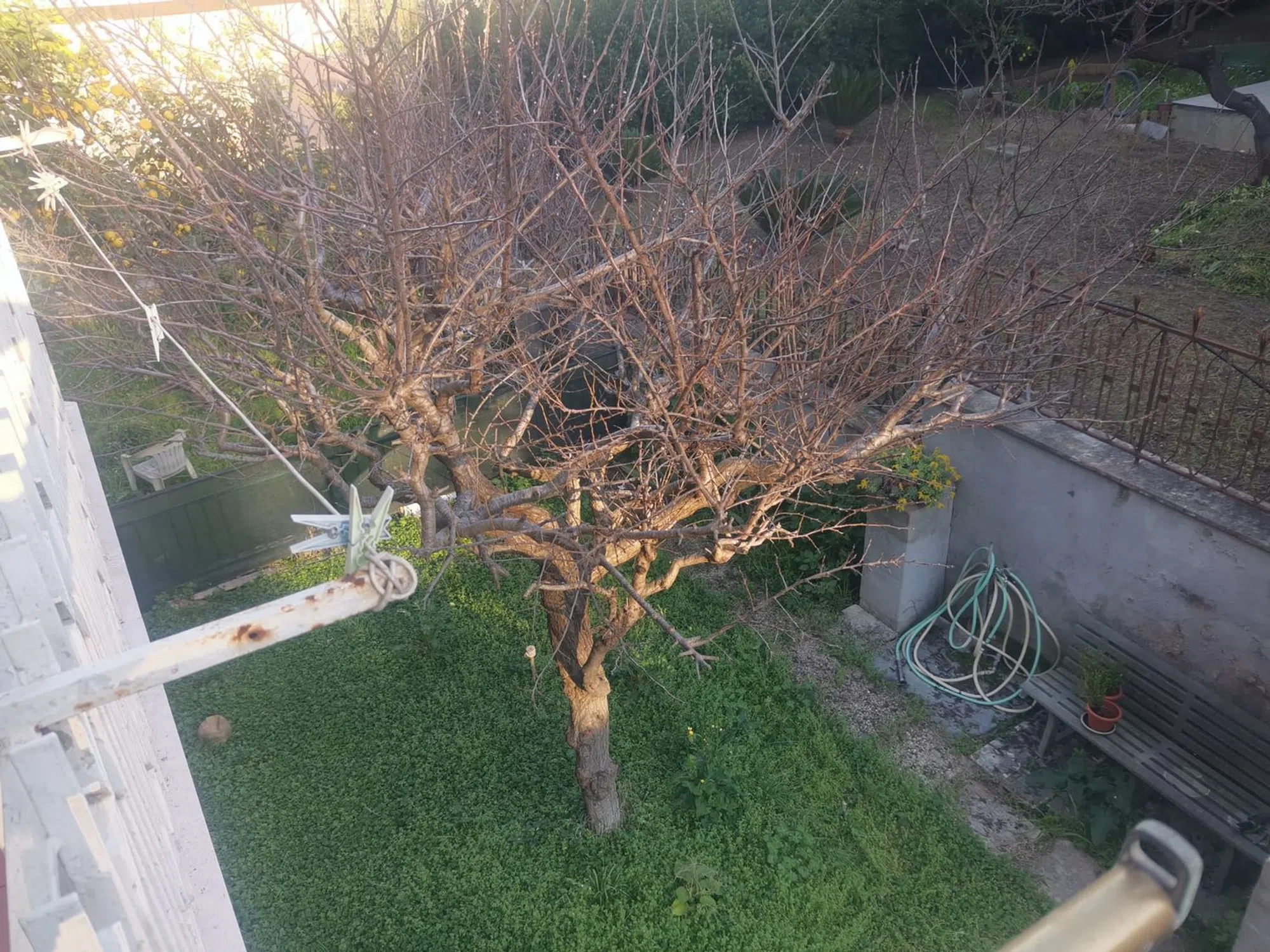 Appartamento in via Morando Filippo Rosa s.n.c. - Photo 10