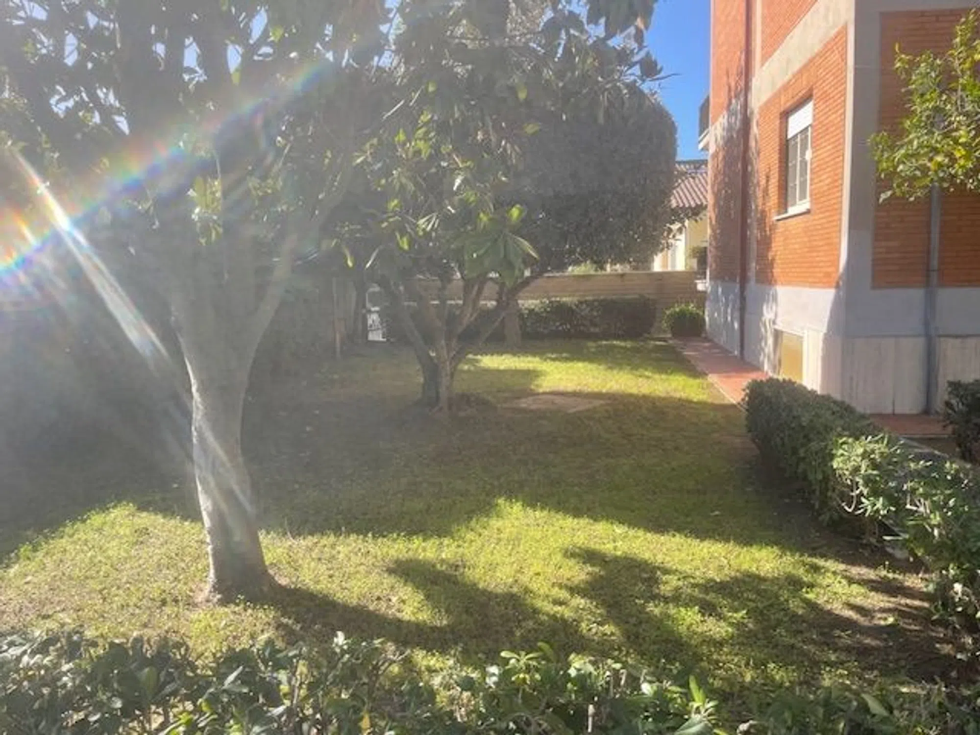 Monolocale in via Adolfo Tommasi, 76 - Photo 5