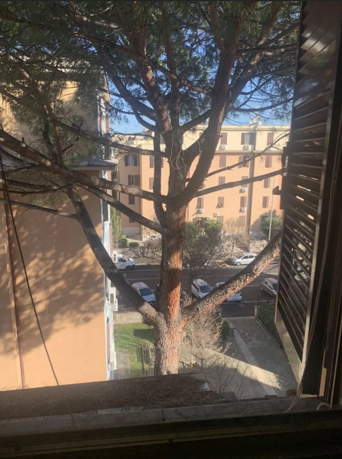 Trilocale in via Annio Felice, 4 - Photo 2