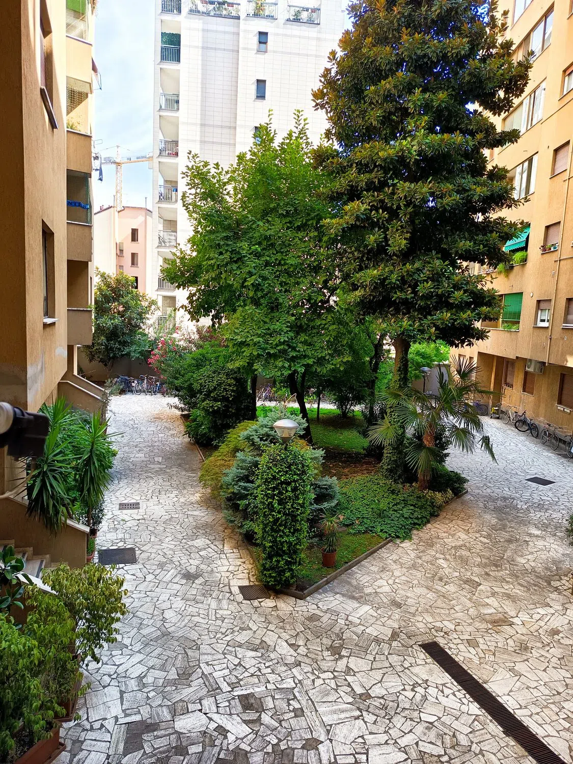 Trilocale in via Masolino da Panicale, 12 - Photo 8