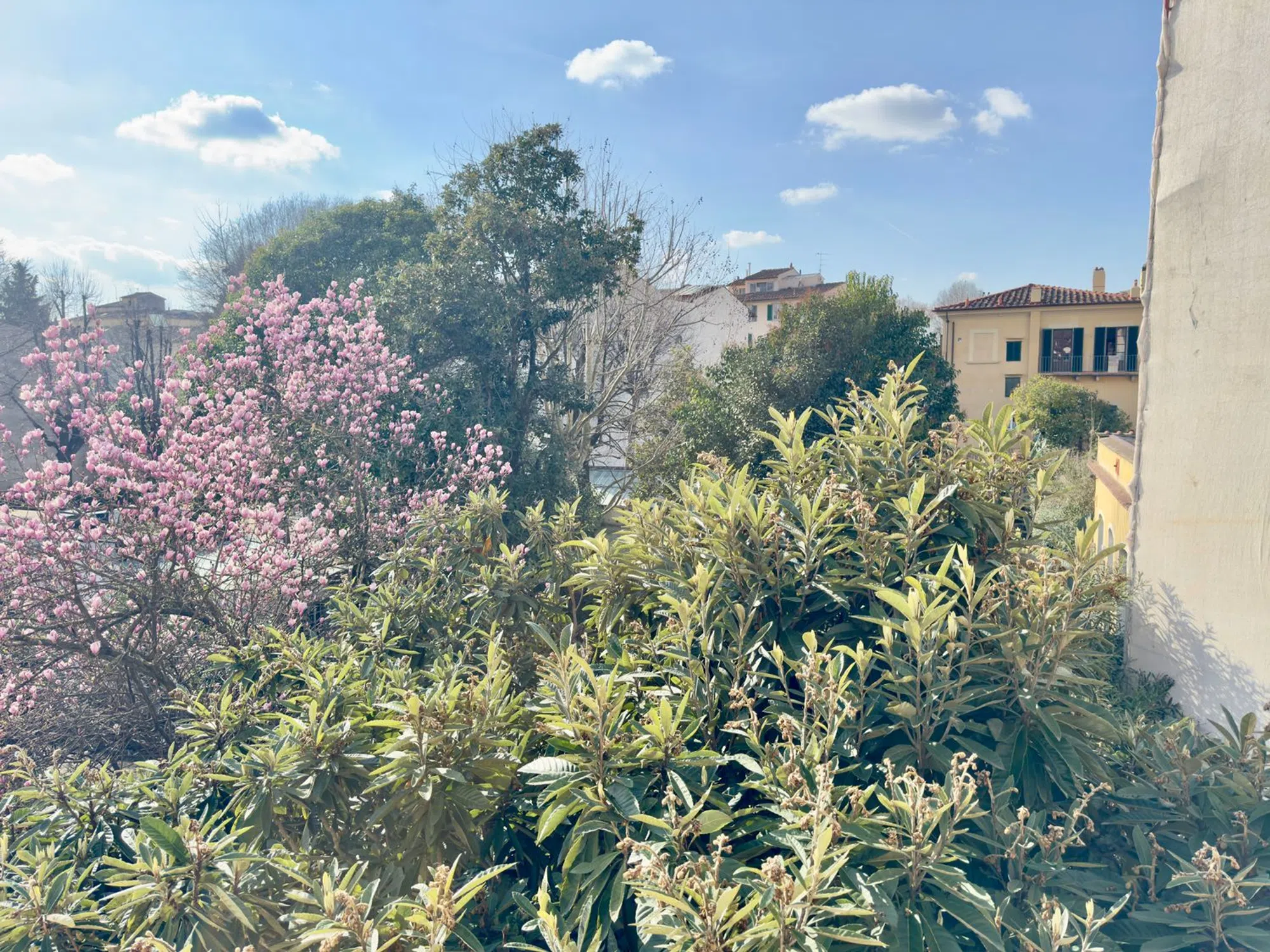 Appartamento in viale Antonio Gramsci s.n.c. - Photo 12