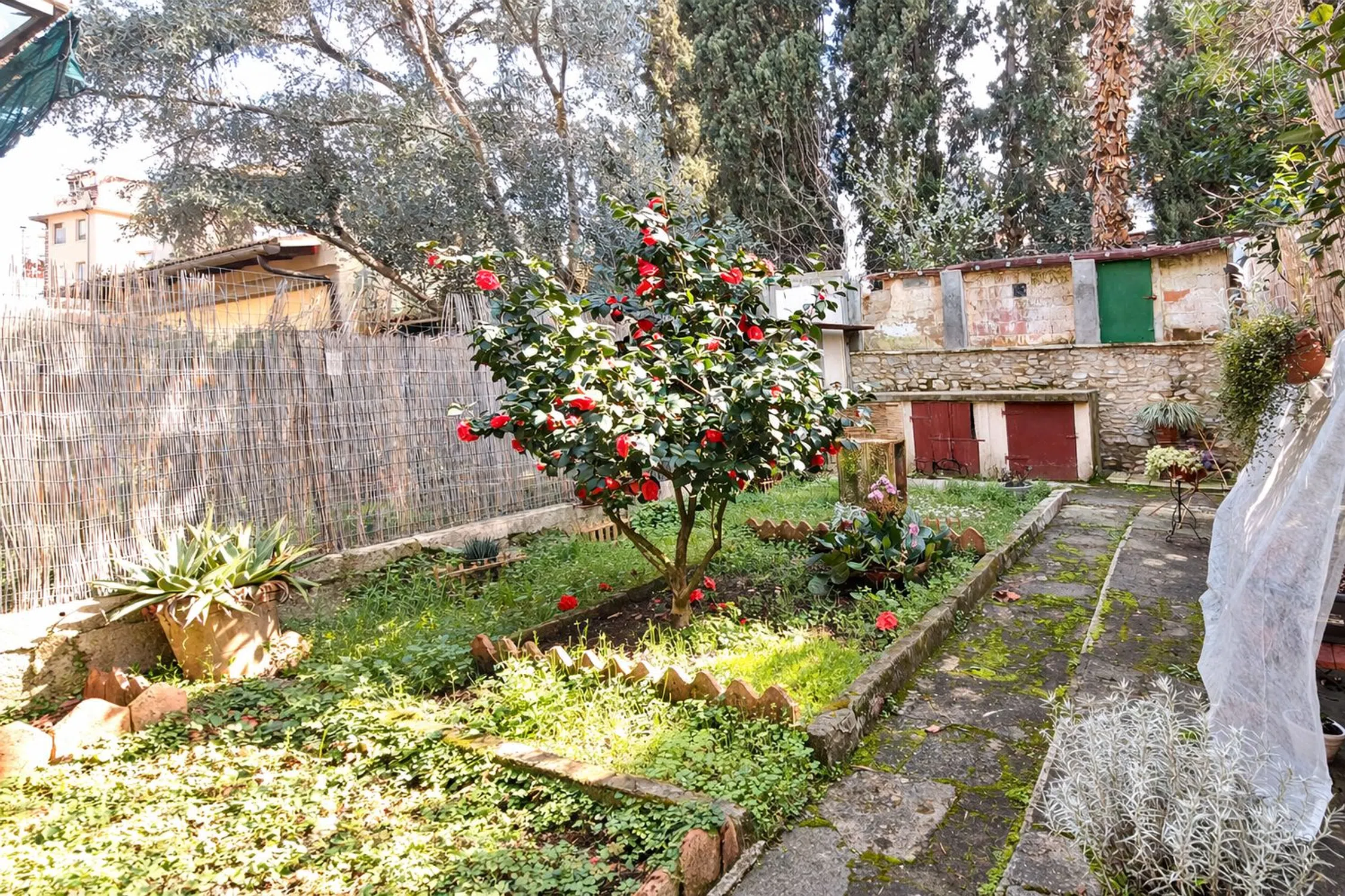 Appartamento in via Benuccio da Orvieto s.n.c. - Photo 7