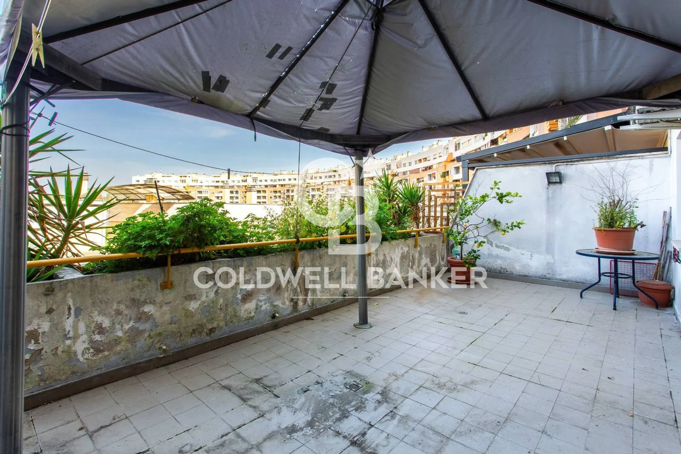 Quadrilocale in viale Aldo Ballarin, 152 - Photo 18