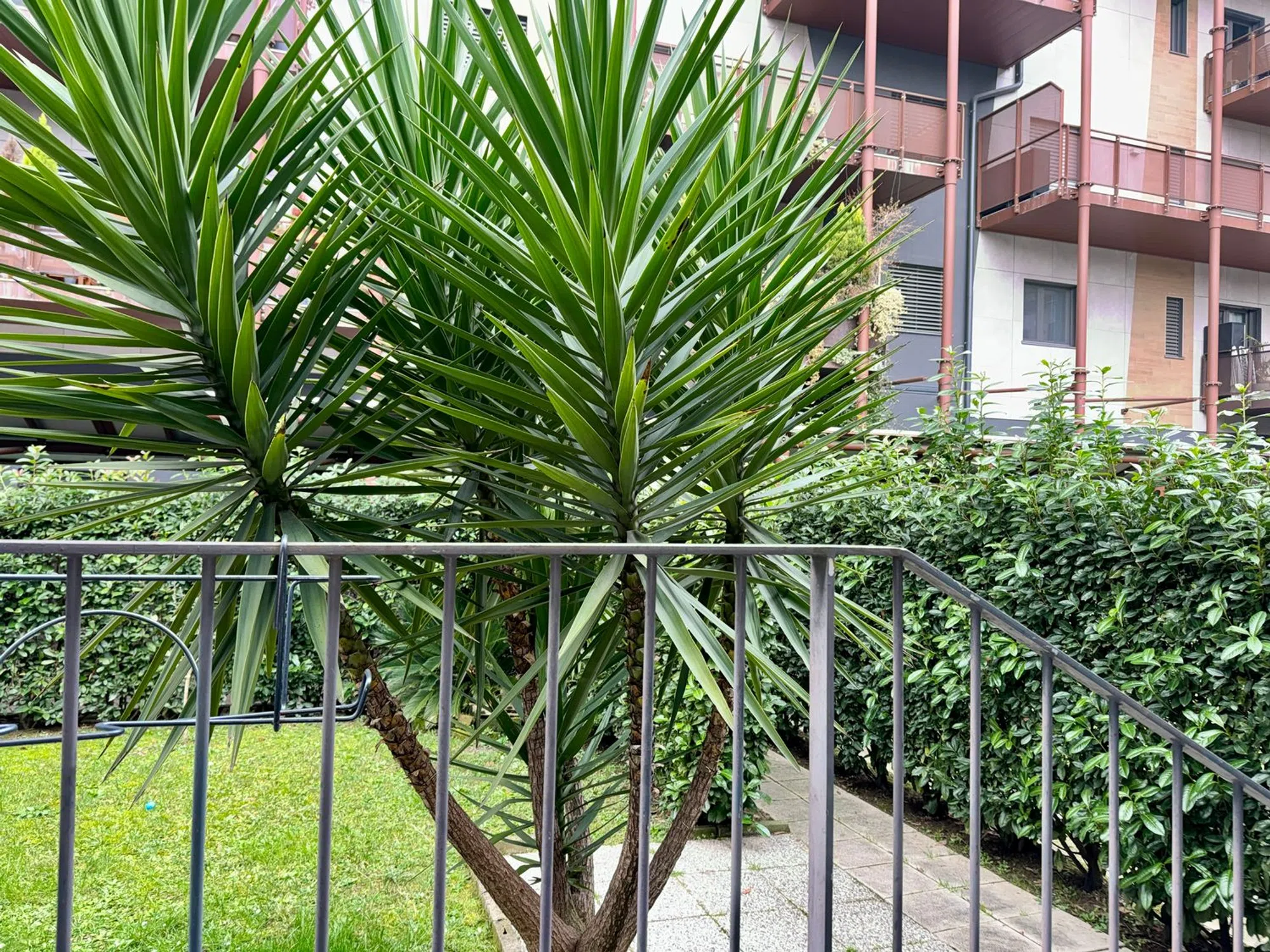Appartamento su due piani in via Enrico Cosenz, 13 - Photo 15
