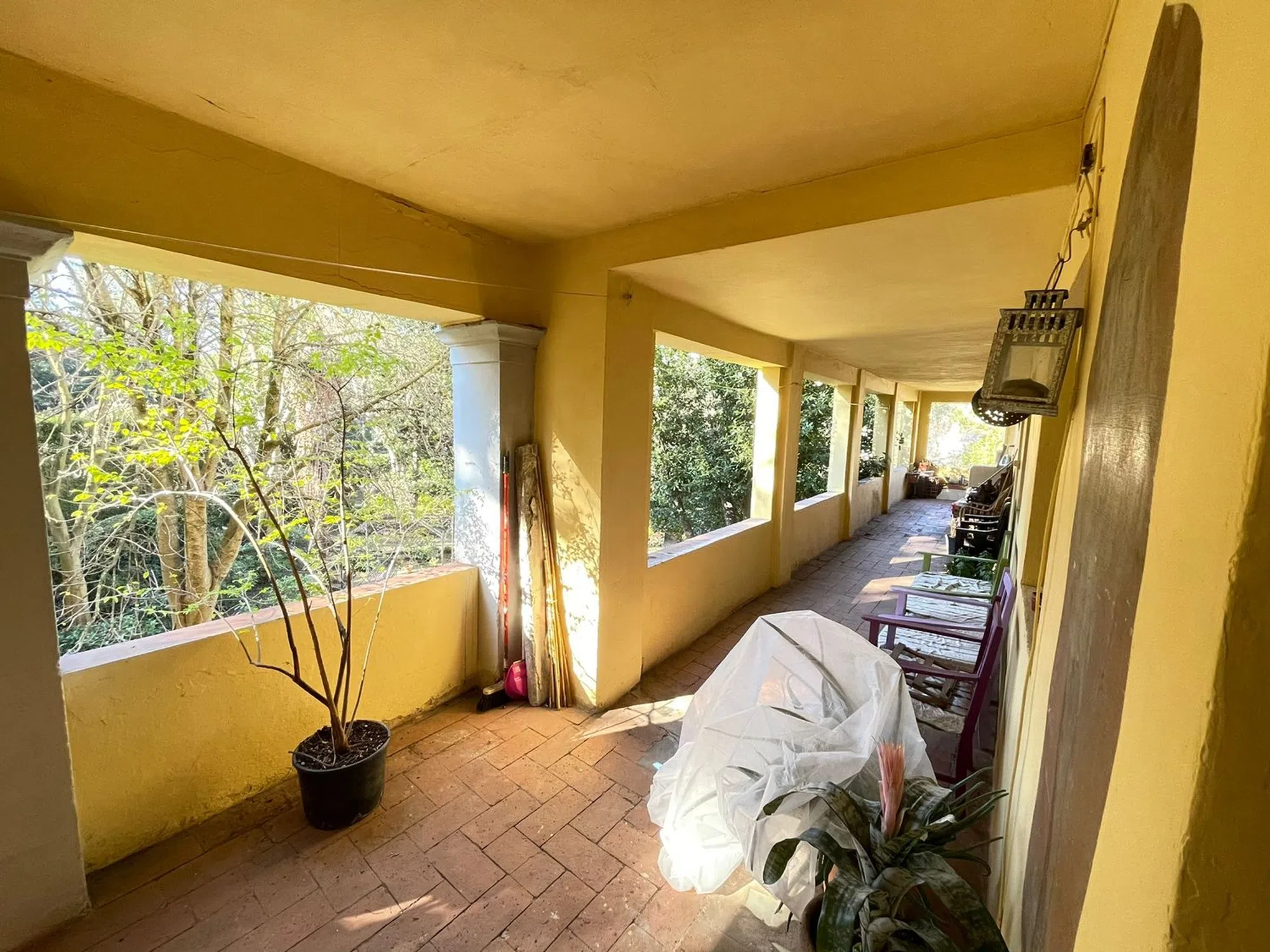 Appartamento in giardino di boboli s.n.c. - Photo 2