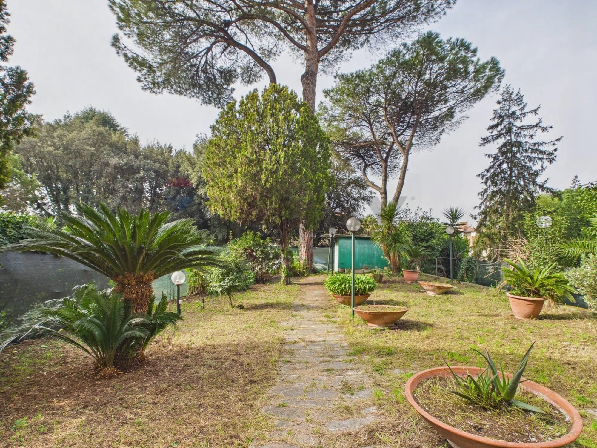 Trilocale in via Aurelia, 294 - Photo 8