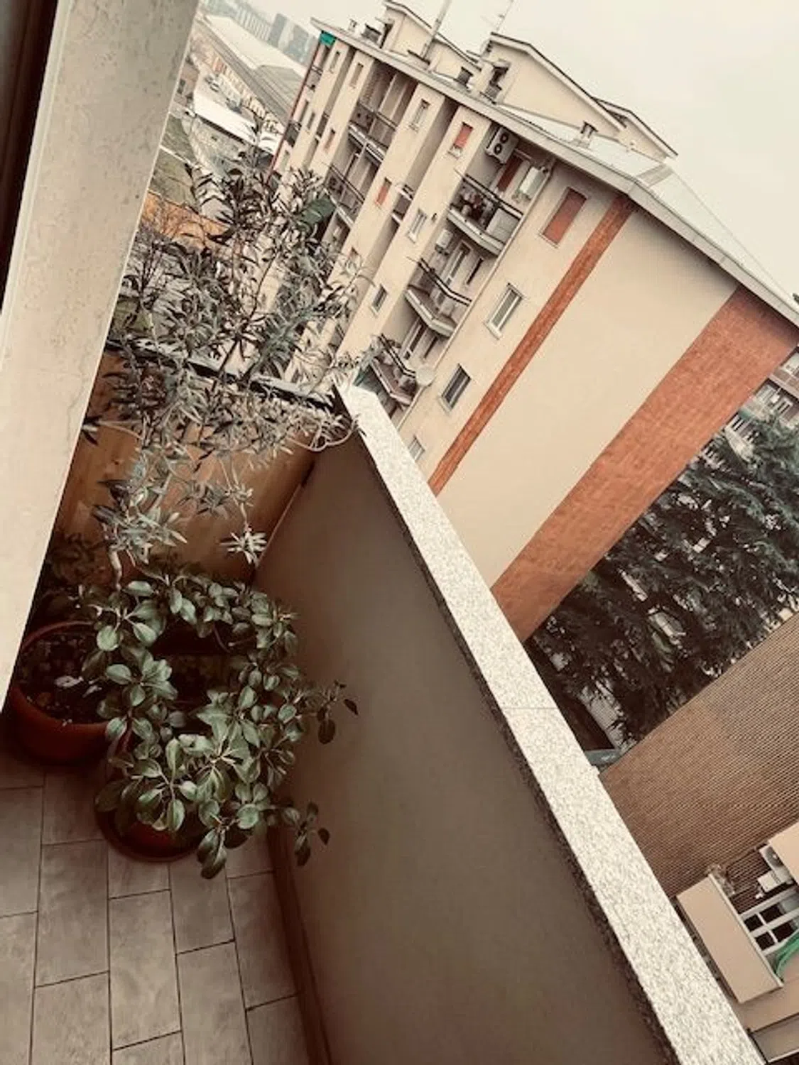 Trilocale in via Leonardo Bistolfi, 8 - Photo 4