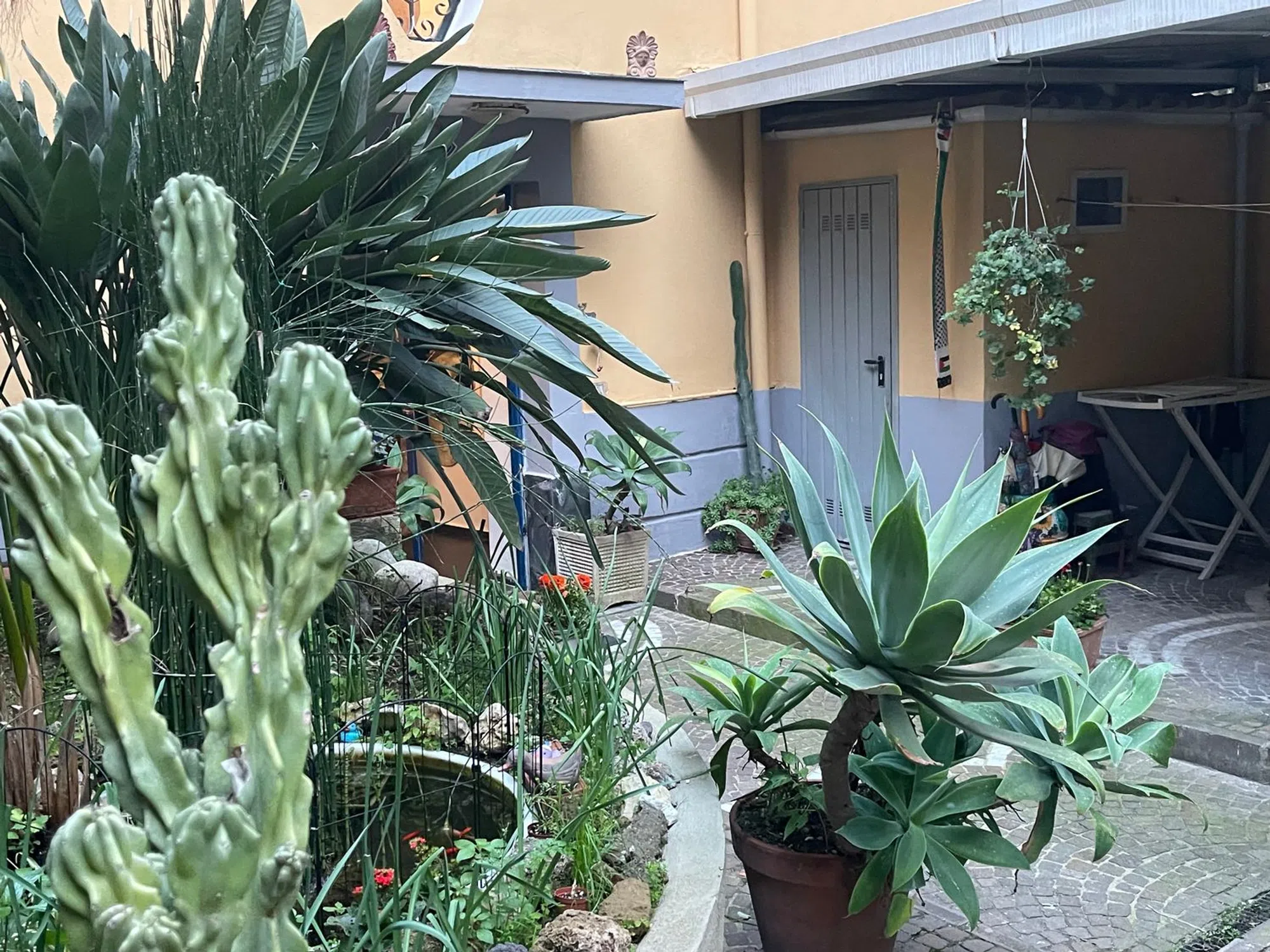 Villa in via Matteo Renato Imbriani, 218 - Photo 7