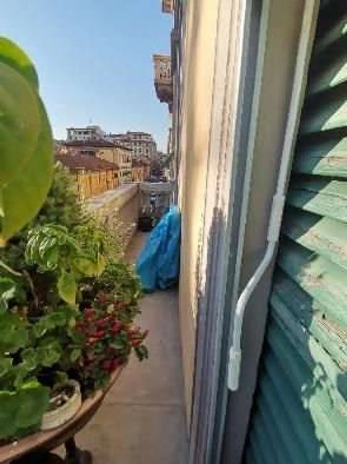 Appartamento in via Pier Antonio Micheli s.n.c. - Photo 15