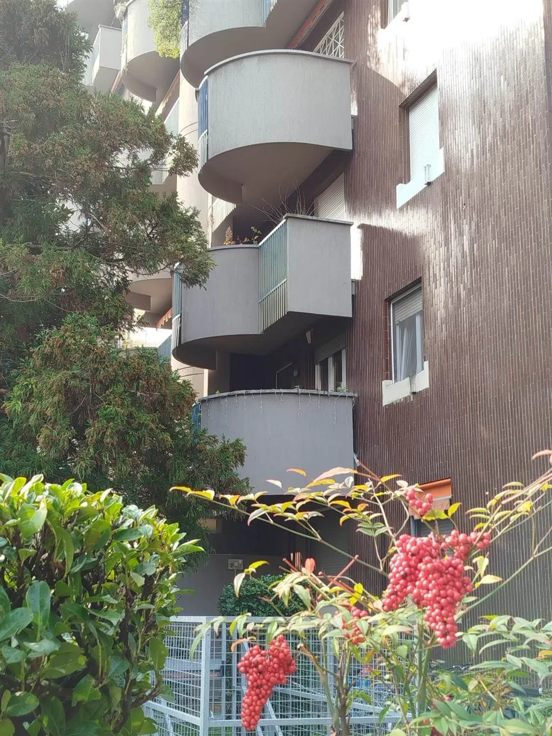 Trilocale in via Giovanni Battista Boeri, 11 - Photo 15