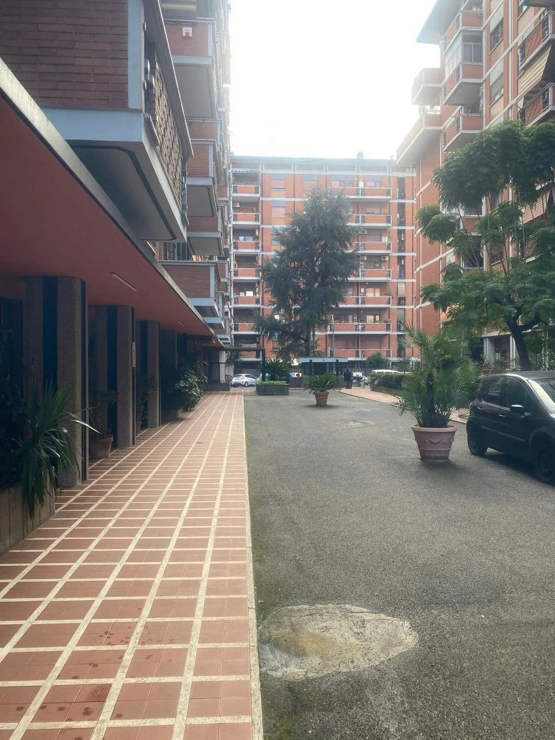 Trilocale in via Montefalco s.n.c. - Photo 2