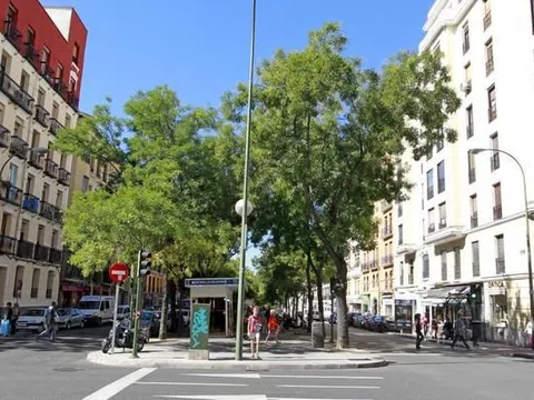 Flat in calle de Ayala - Photo 18