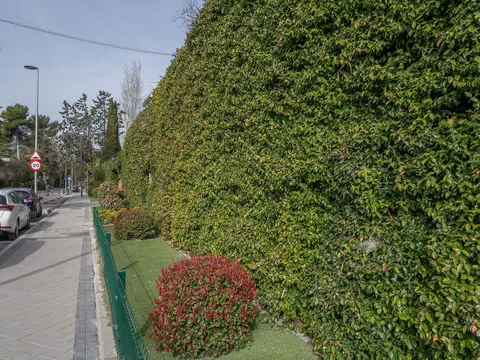 Detached house - Photo 7