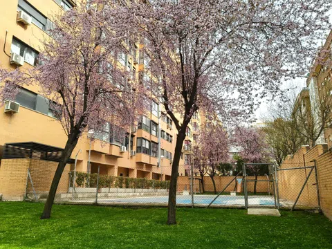 Flat in CL Bronce - Photo 6