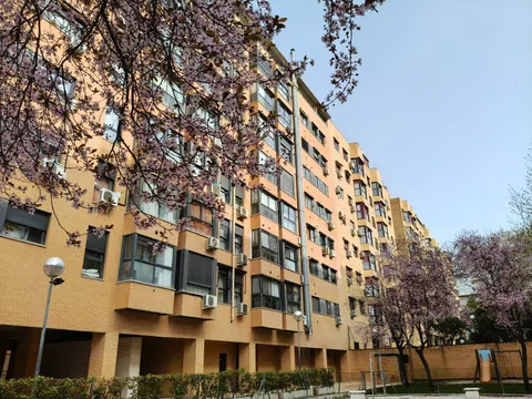 Flat in CL Bronce - Photo 10