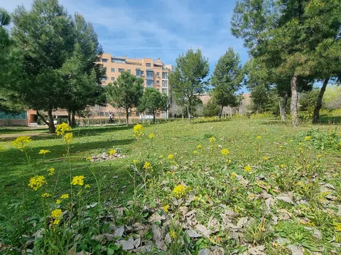 Flat in calle de Vicente Carballal - Photo 11
