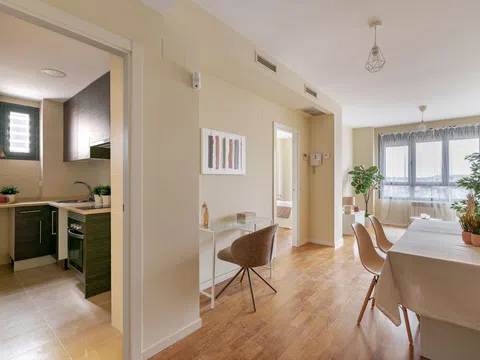 Flat in paseo de Ginebra - Photo 11
