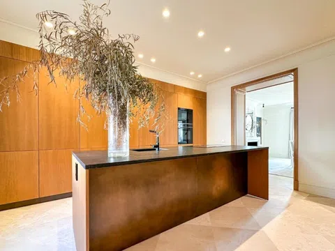 Flat in calle de José Ortega y Gasset - Photo 4