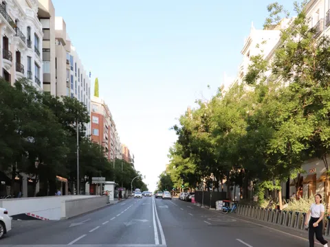 Flat - Photo 8