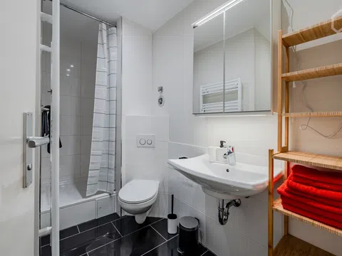 Flat in calle de Carcastillo - Photo 7